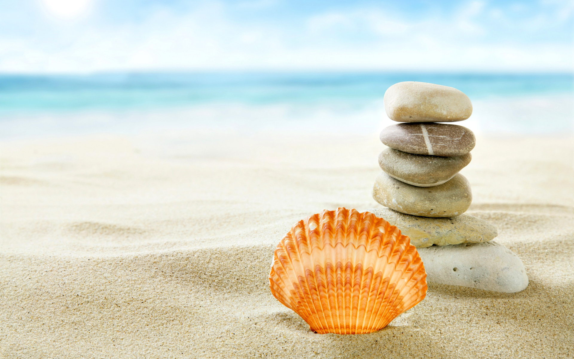 Sea Shells Beach Wallpaper - Beach Sea Shells Hd - HD Wallpaper 