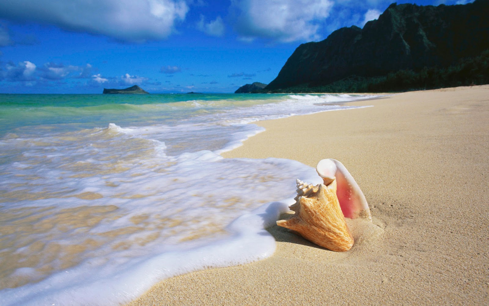Beach Wallpaper - Hd Wallpaper Download Of Beach - 1600x1000 Wallpaper - Beach Wallpaper - Hd Wallpaper Download Of Beach - 1600x1000 Wallpaper -