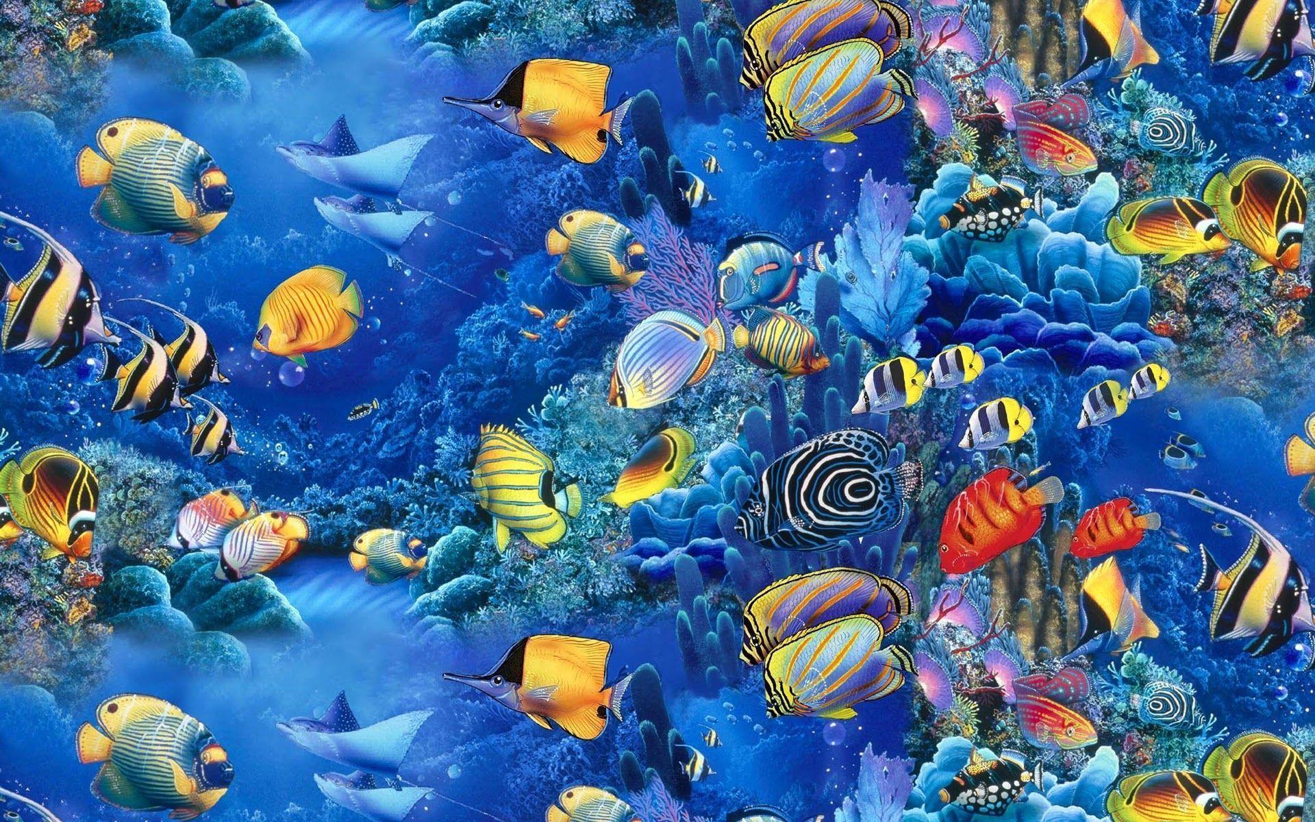 Fish Wallpapers - 4k Wallpaper Fish - 1920x1200 Wallpaper 