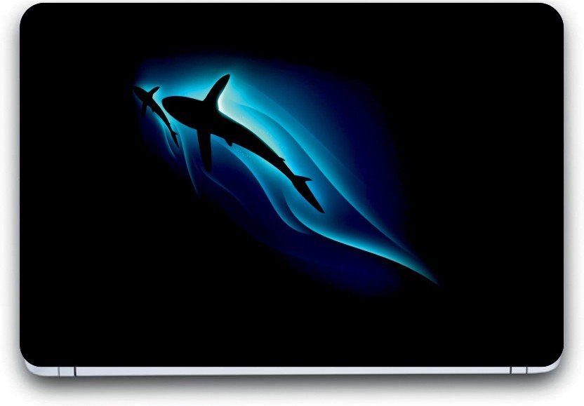 Fish - HD Wallpaper 