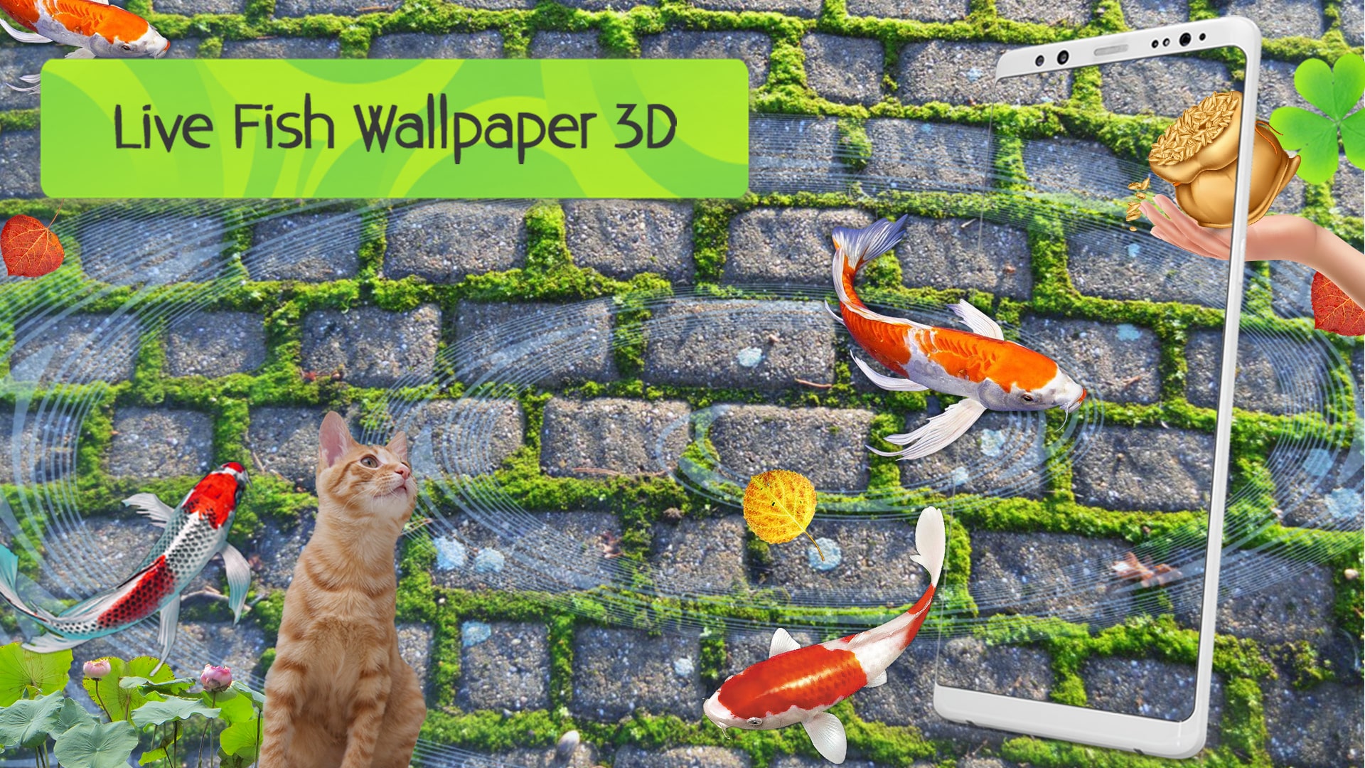 Wall - HD Wallpaper 