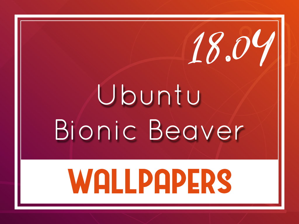 04 Bionic Beaver Default Desktop Wallpapers - Bionic Beaver Ubuntu 18.04 - HD Wallpaper 