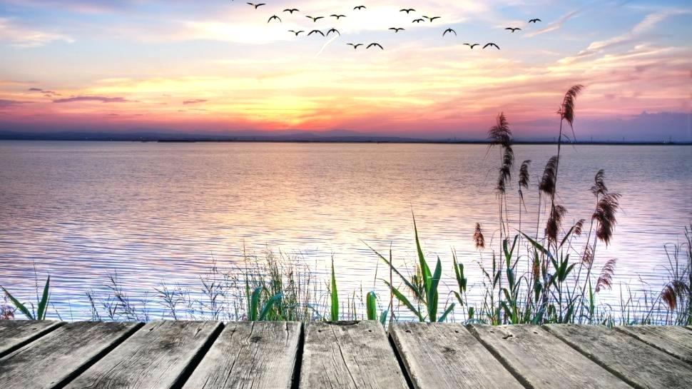 Scenery Wallpaper Pier Sea Sunset Plants Birds Beautiful - Sunset Beautiful Scenery - HD Wallpaper 