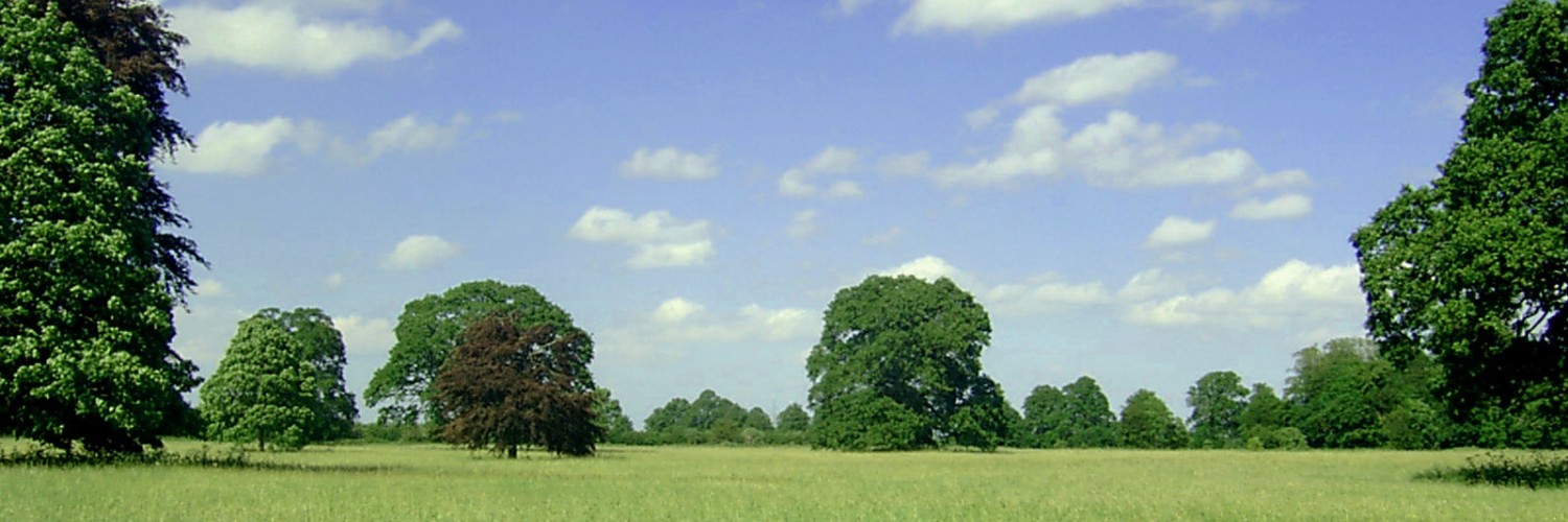 Summer Poem By Christina Rossetti - HD Wallpaper 