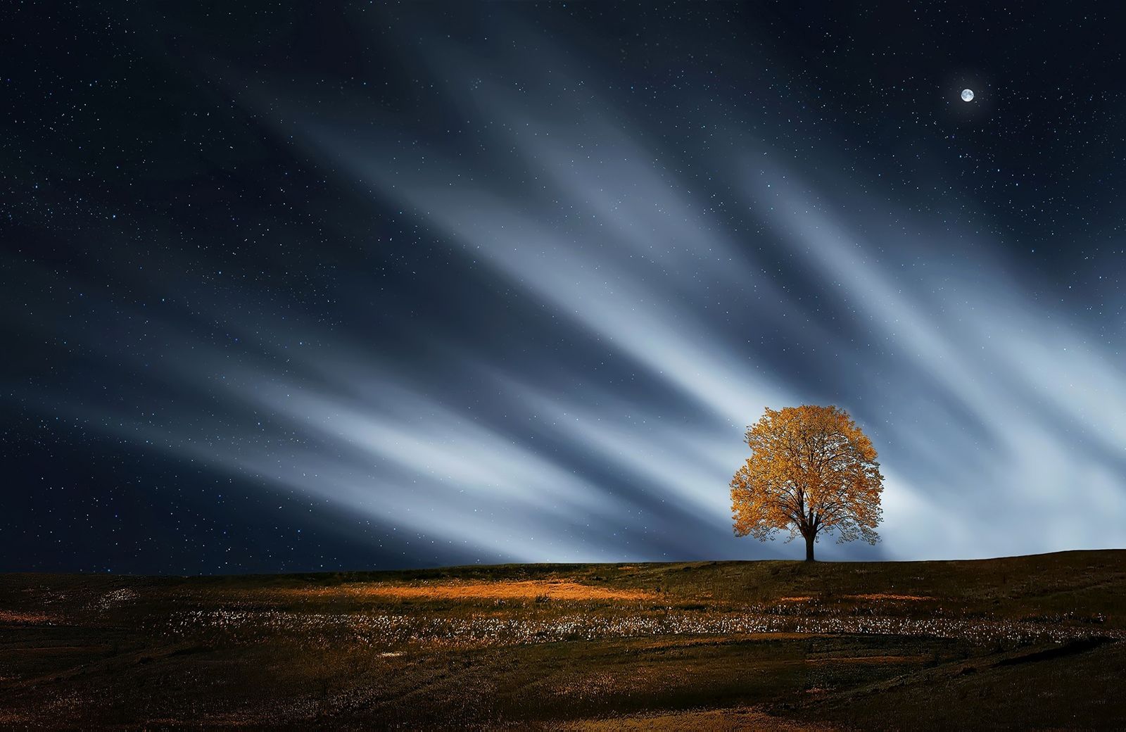Nature Landscape Night Scenic Tree Stars Evening Scenery - Luminosity Masks - HD Wallpaper 