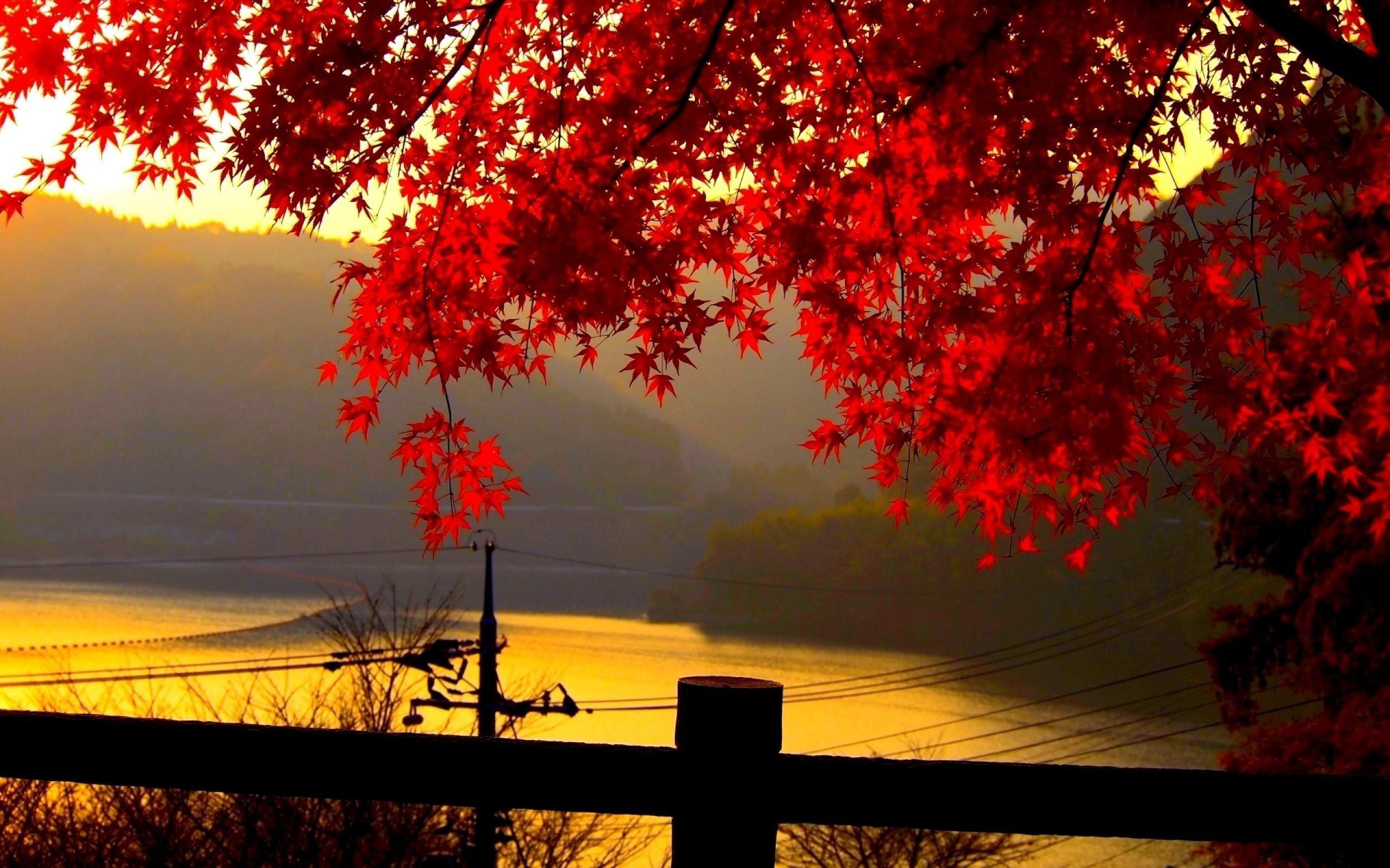 Autumn Landscape Wallpapers - Landscape Hd Wallpaper Downloaded - HD Wallpaper 
