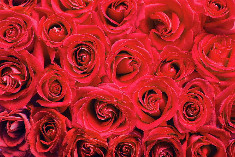 Happy Birthday To Lovely Wife - HD Wallpaper 