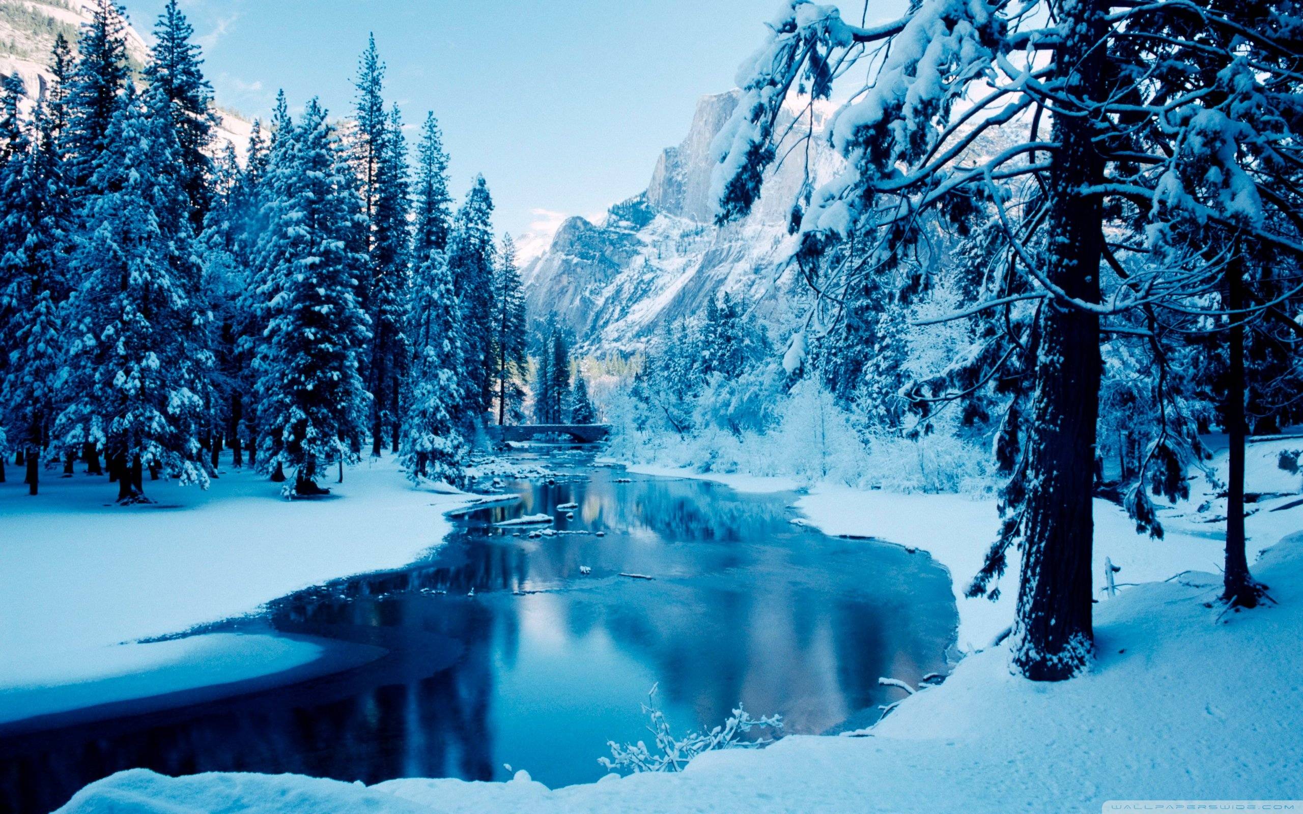 Winter Landscape Wallpaper Hd Cool - High Resolution Winter Background - HD Wallpaper 