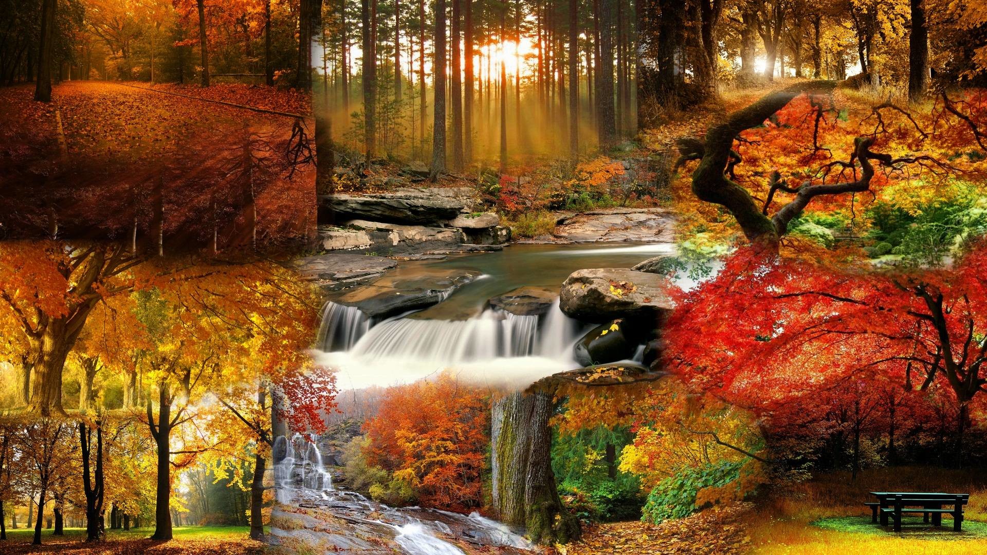 1920x1080, Beautiful Fall Landscape Wallpaper - Beautiful Fall Background - HD Wallpaper 