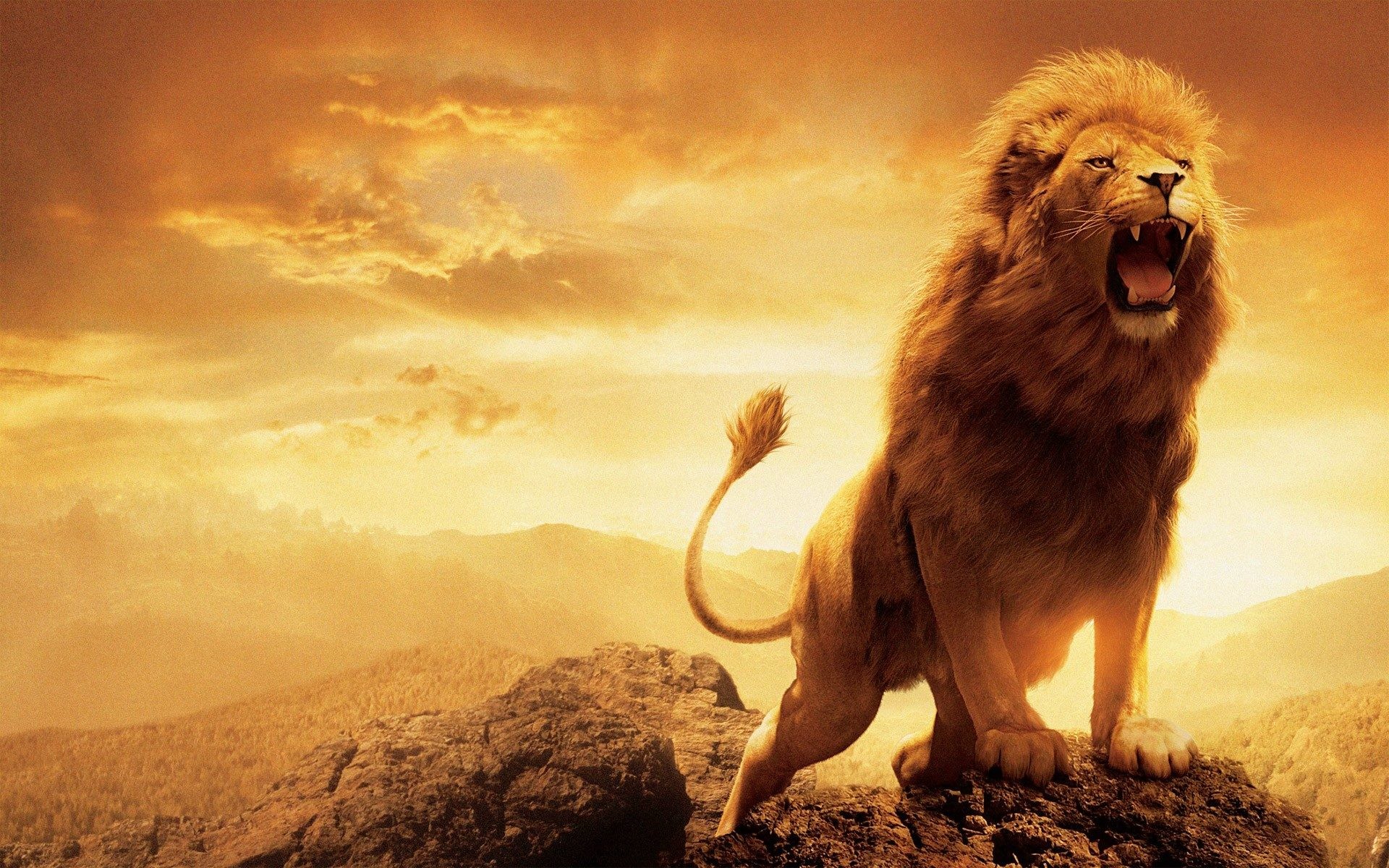 Lion Wallpaper Hd Pictures One Hd Wallpaper Pictures - Lion Of Judah  Roaring - 1920x1200 Wallpaper 
