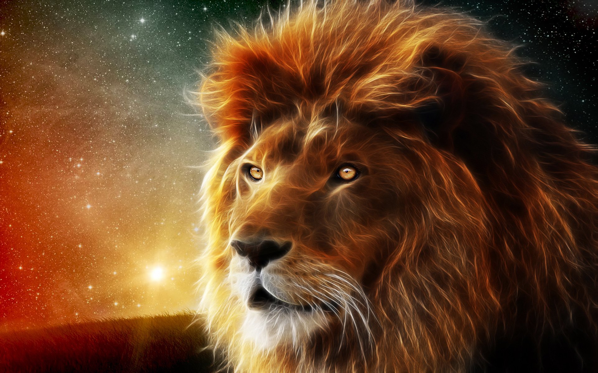 Lion Hd - HD Wallpaper 