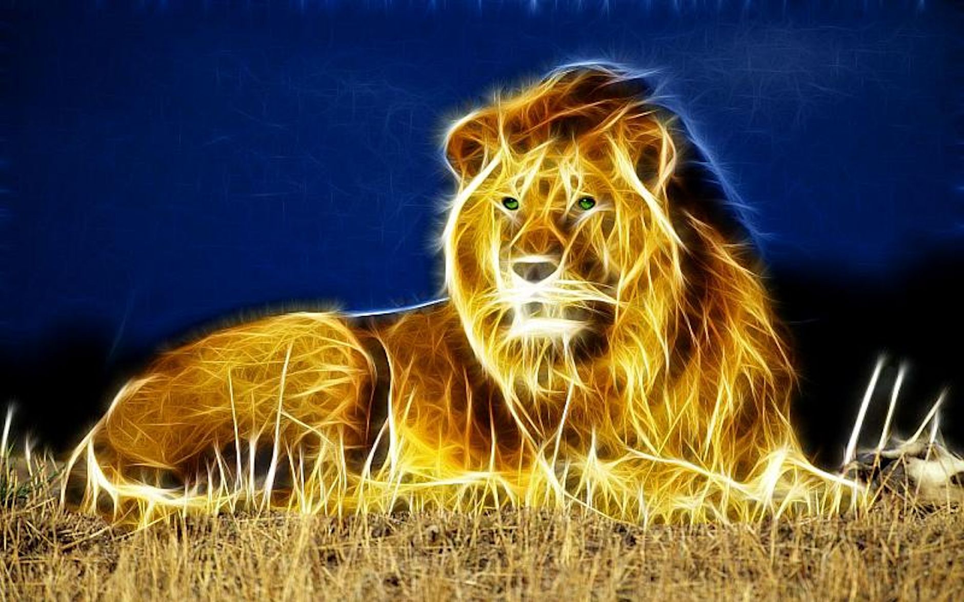 3d Lion Pictures Wallpaper - Download Lion Photos Hd - 1880x1175 Wallpaper  