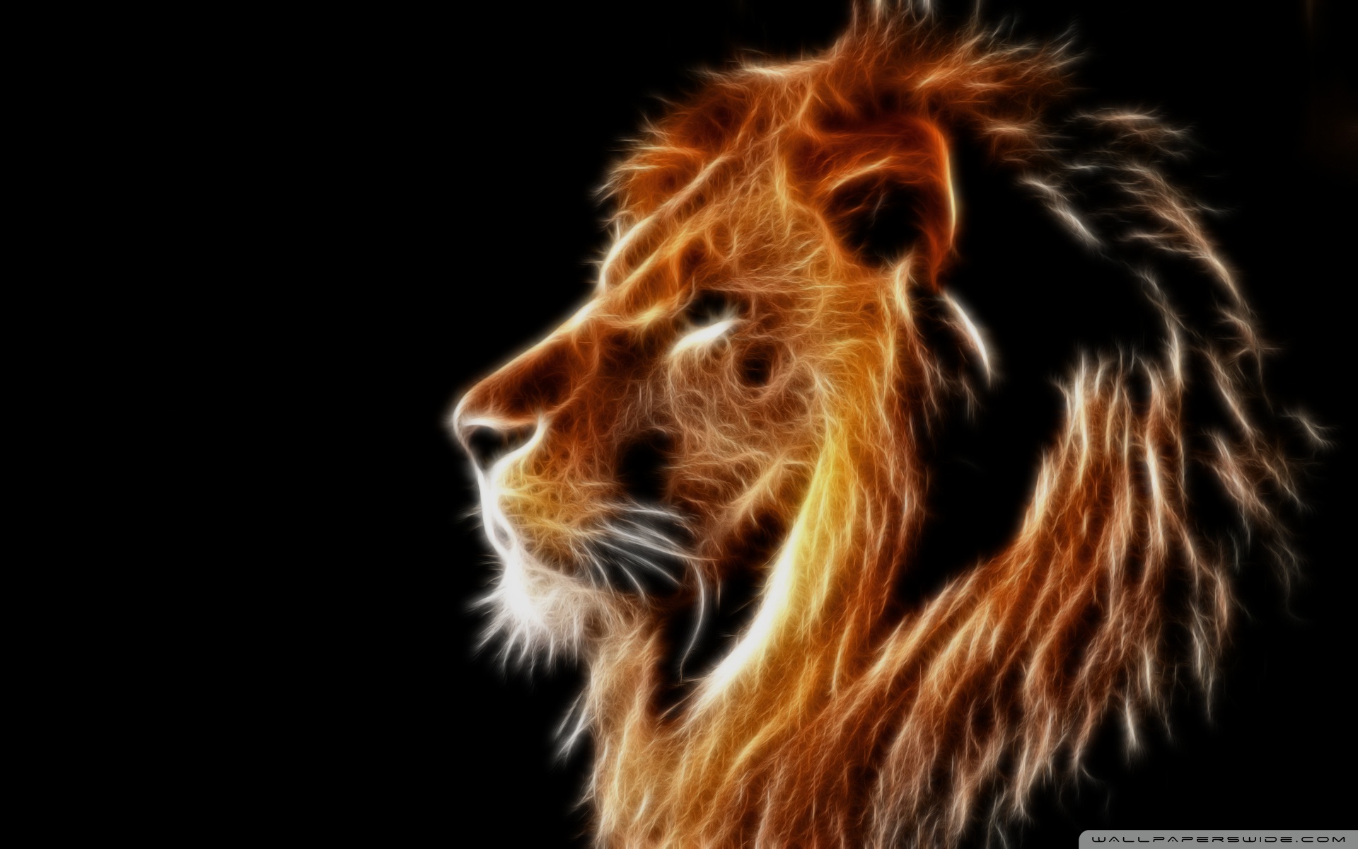 Glowing Lion Â¤ 4k Hd Desktop Wallpaper For 4k Ultra - Lion Full Hd - HD Wallpaper 