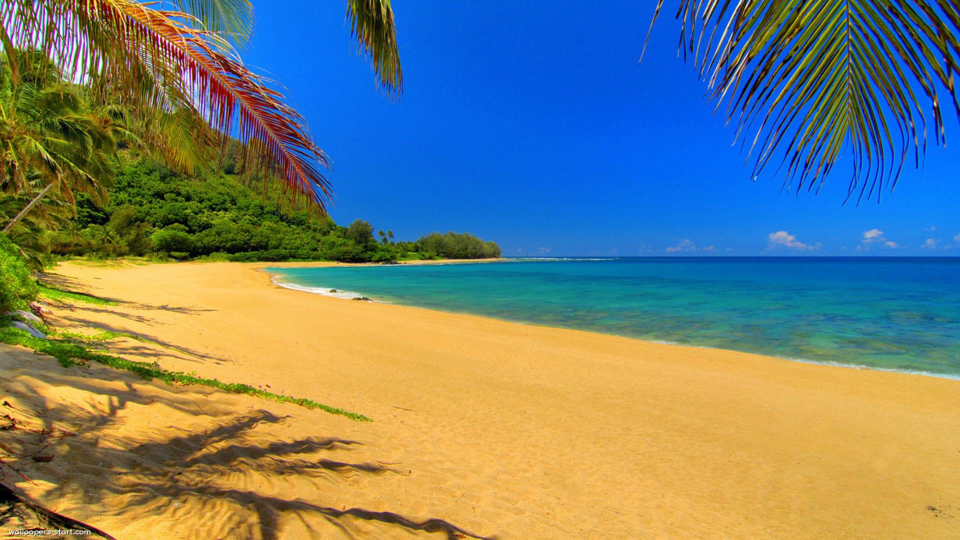 Summer Wallpaper Hd Desktop - 1920x1080 Wallpaper Summer Wallpaper Hd Desktop - 1920x1080 Wallpaper