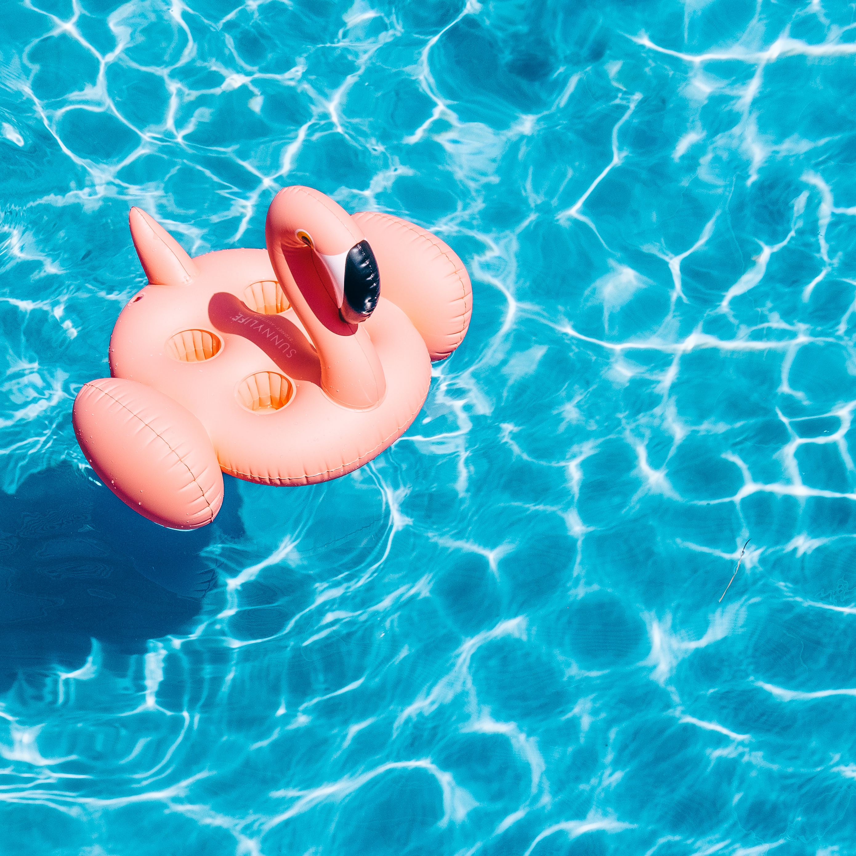 Wallpaper Pool, Water, Flamingo, Summer - Pool Water Background Hd - HD Wallpaper 