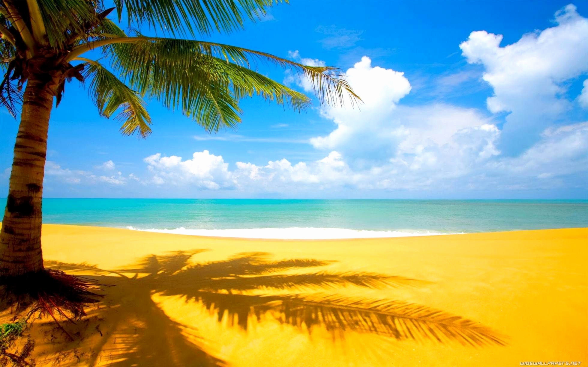 Summer Wallpaper Awesome Nice Nature Backgrounds 22 - Hawaiian Background -  1960x1225 Wallpaper 