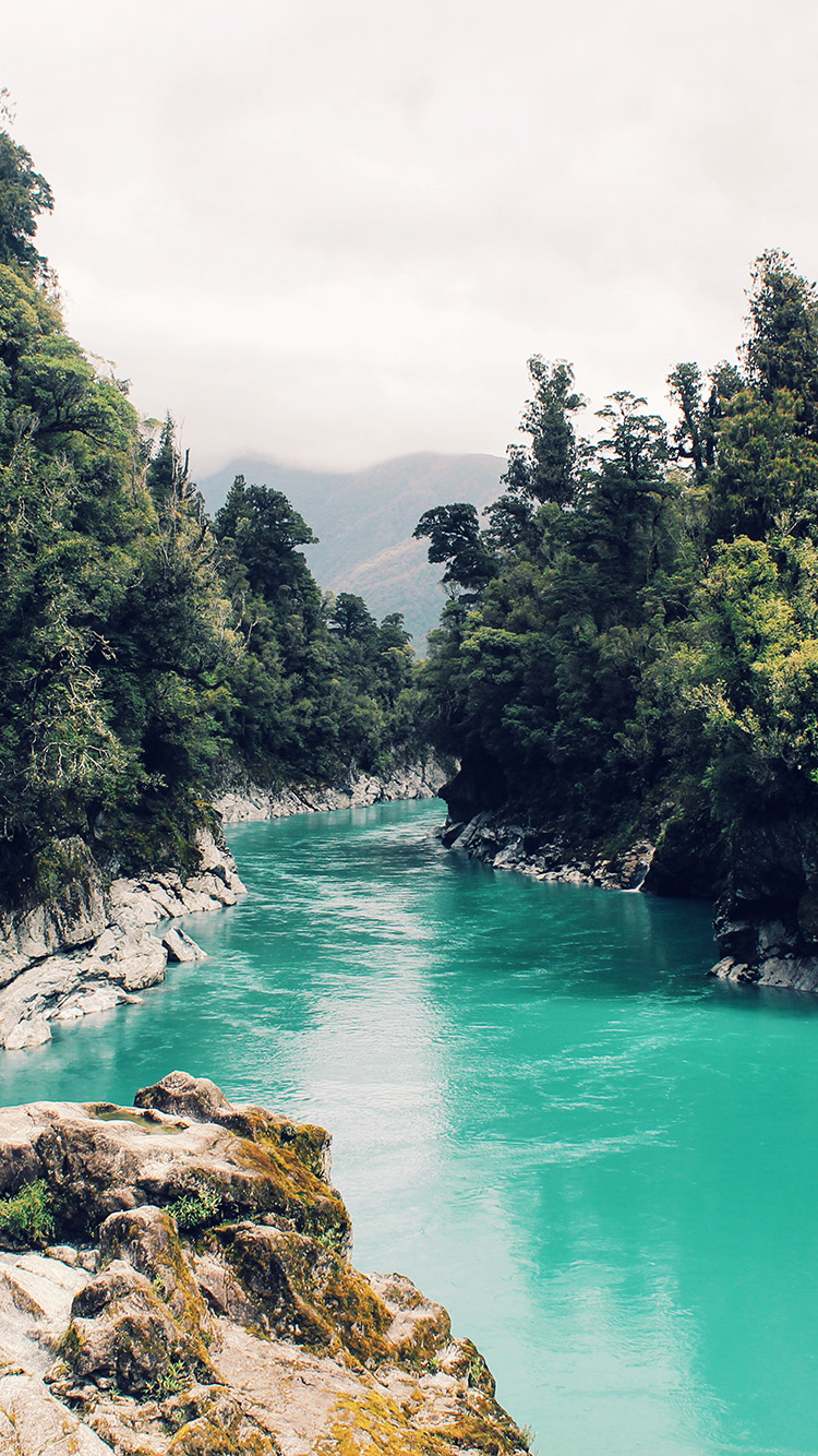 Summer Nature Wallpaper Iphone - HD Wallpaper 