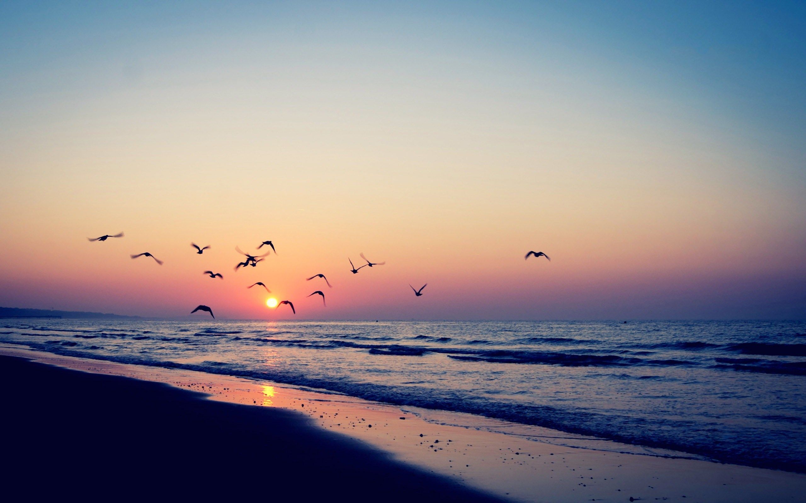 Summer Wallpaper For Pc Summer Desktop Backgrounds 2560x1600 Wallpaper Teahub Io