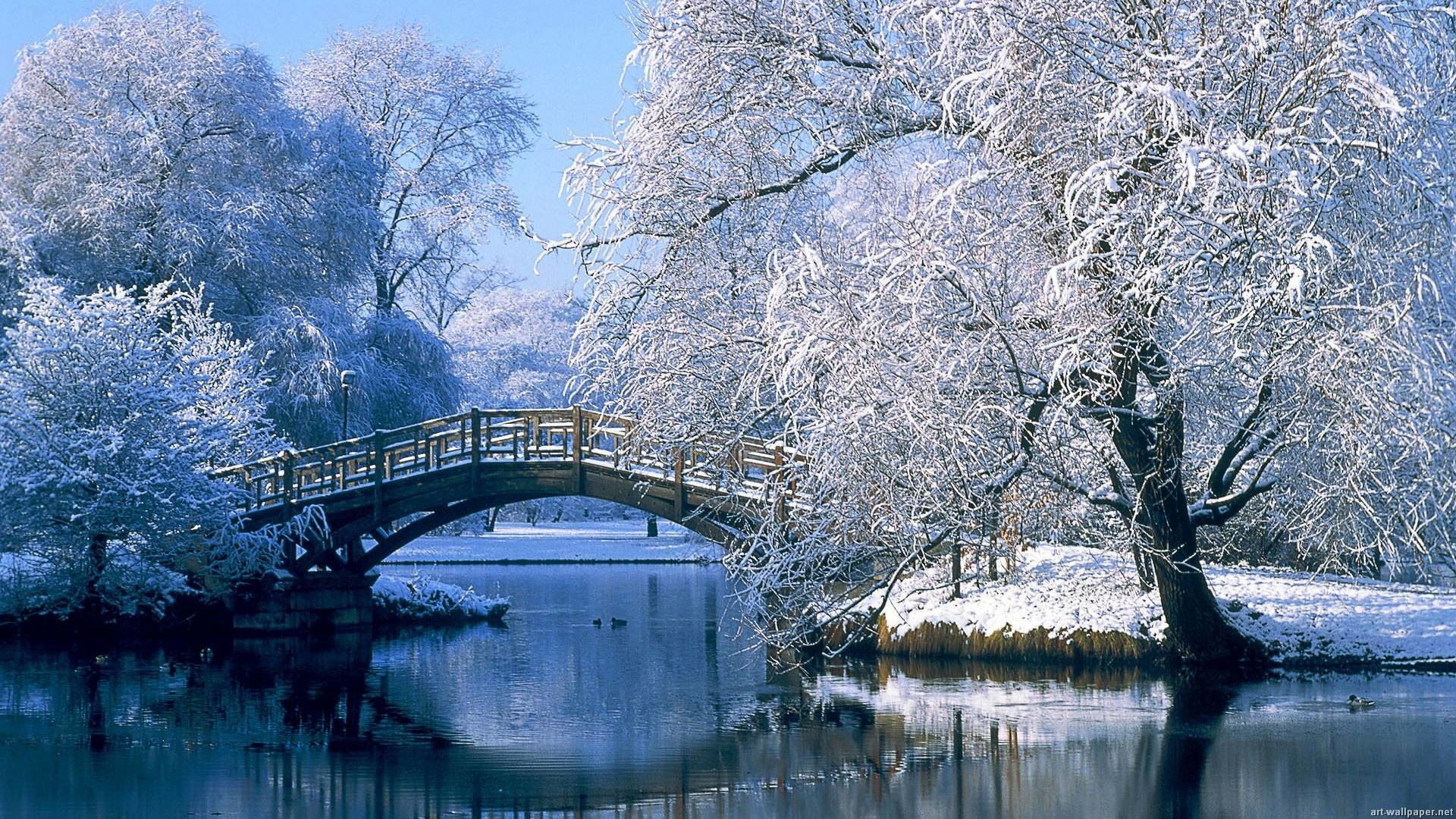 Sakura Japan Full Hd Background Wallpaper - Winter Scenes - HD Wallpaper 