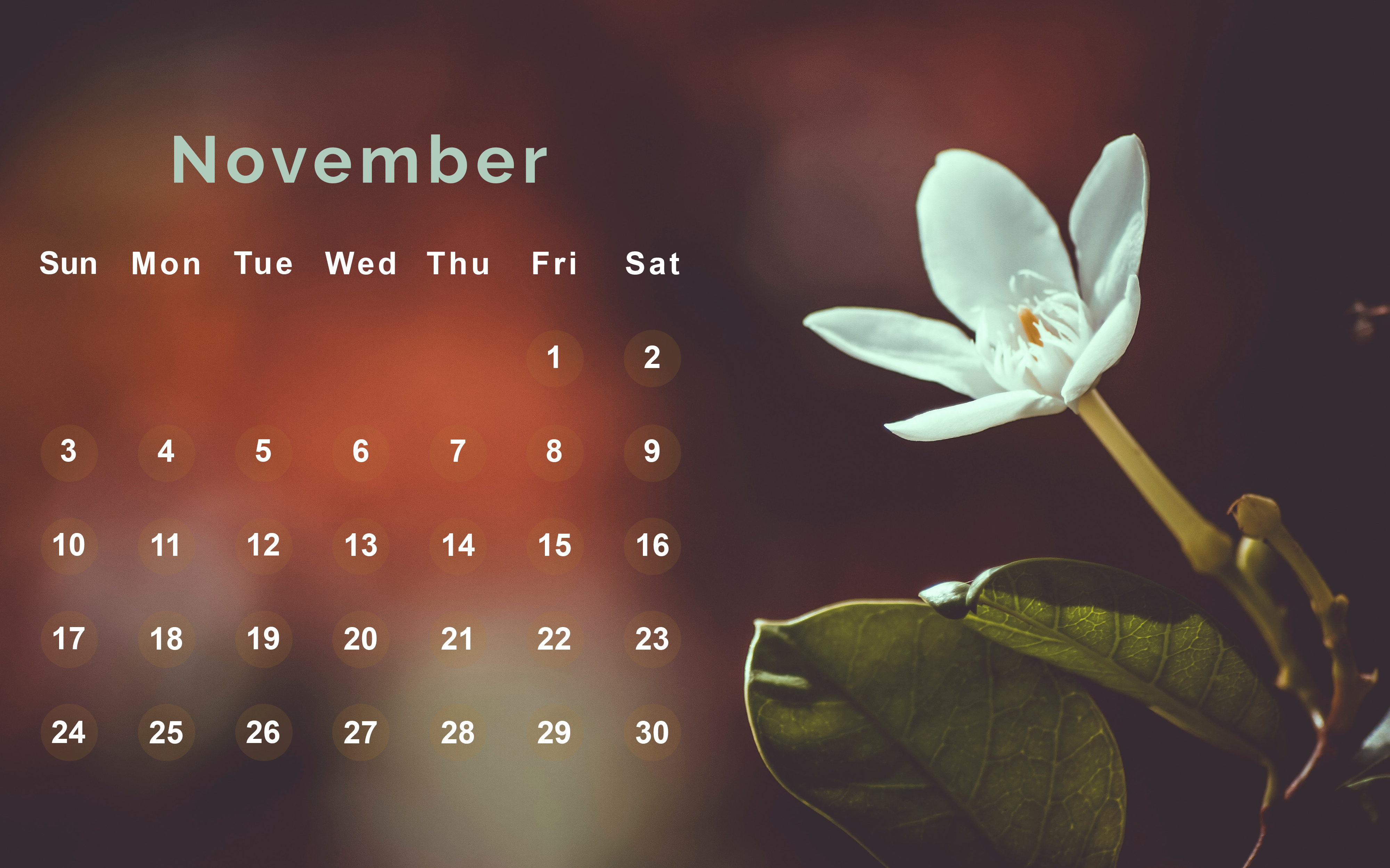 November 2019 Hd Desktop Wallpaper - November 2019 Desktop Calendar - HD Wallpaper 