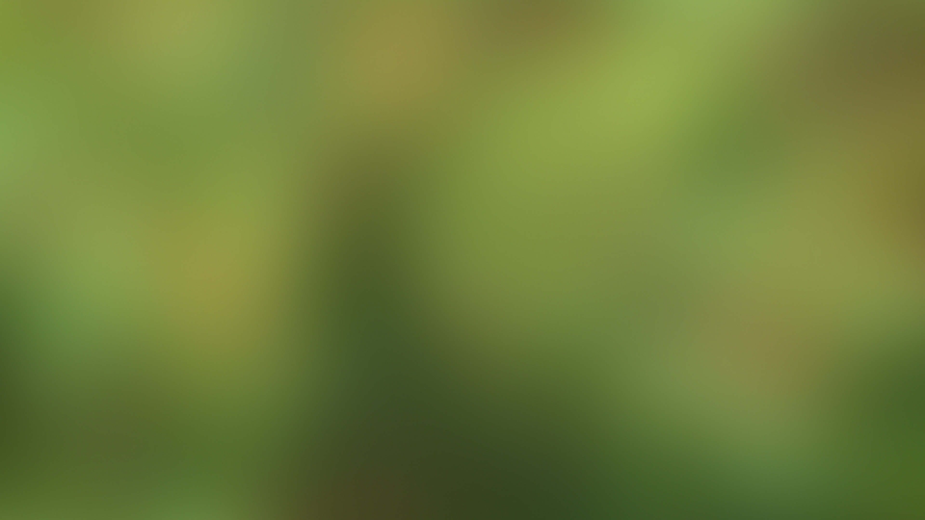 4k Green Blurred Background Hd Desktop Wallpaper - Blur Background Hd - HD Wallpaper 