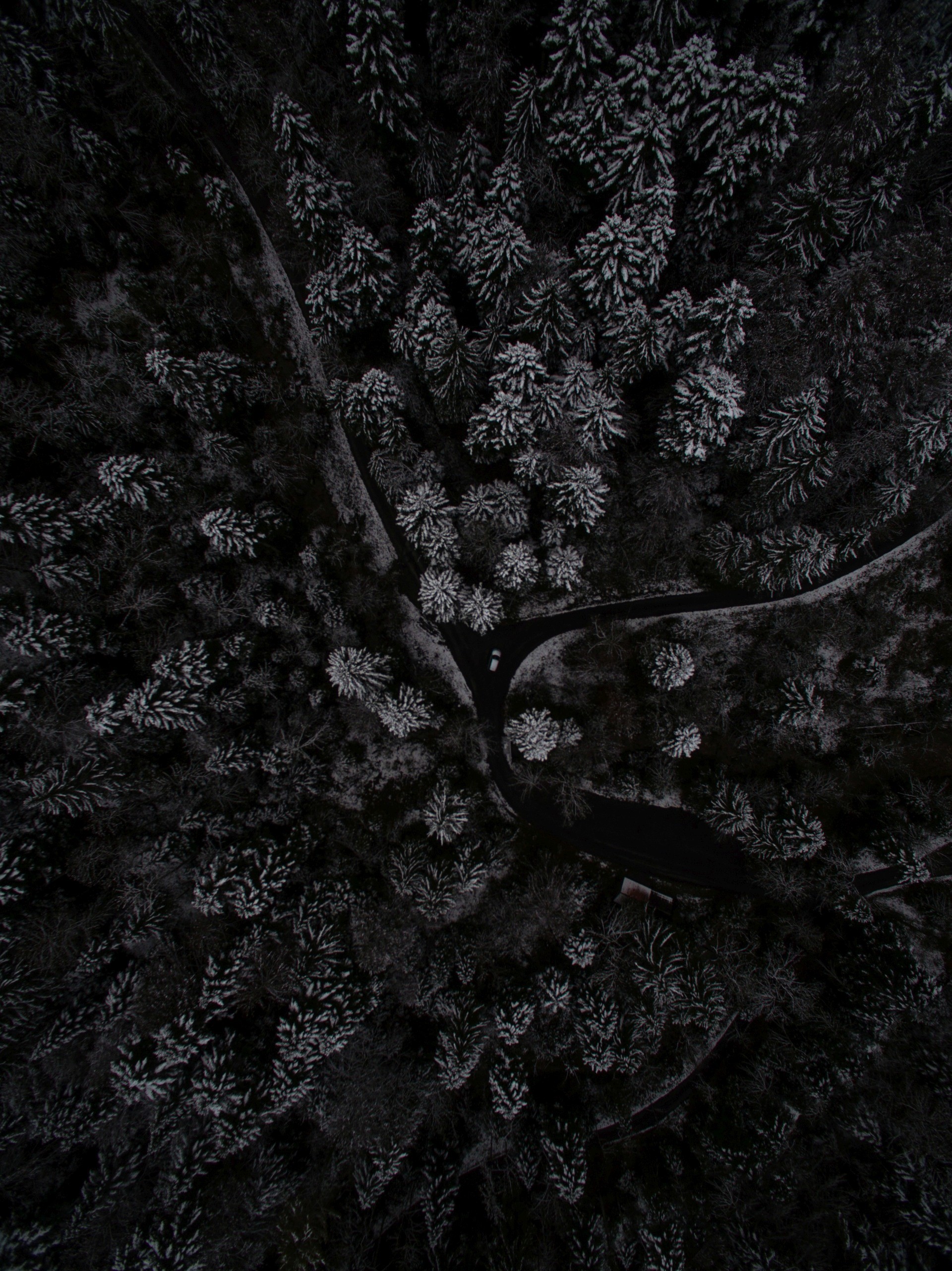 Dark Phone Wallpaper Hd High Quality Of Desktop Smartphone - Dark Wallpaper For Phone - 1920x2562 Wallpaper Dark Phone Wallpaper Hd High Quality Of Desktop Smartphone - Dark Wallpaper For Phone - 1920x2562 Wallpaper