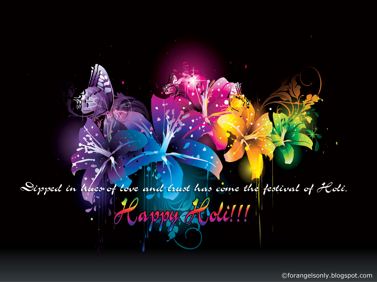 Happy Holi Color Flower Wallpaper - Holi Holi Wallpapers Beautiful - HD Wallpaper 