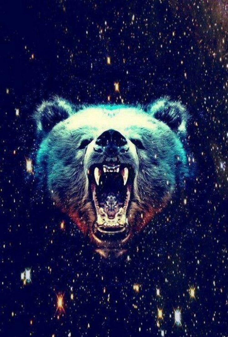 Permalink To Best Wallpapers Ever - Galaxy Bear - HD Wallpaper 