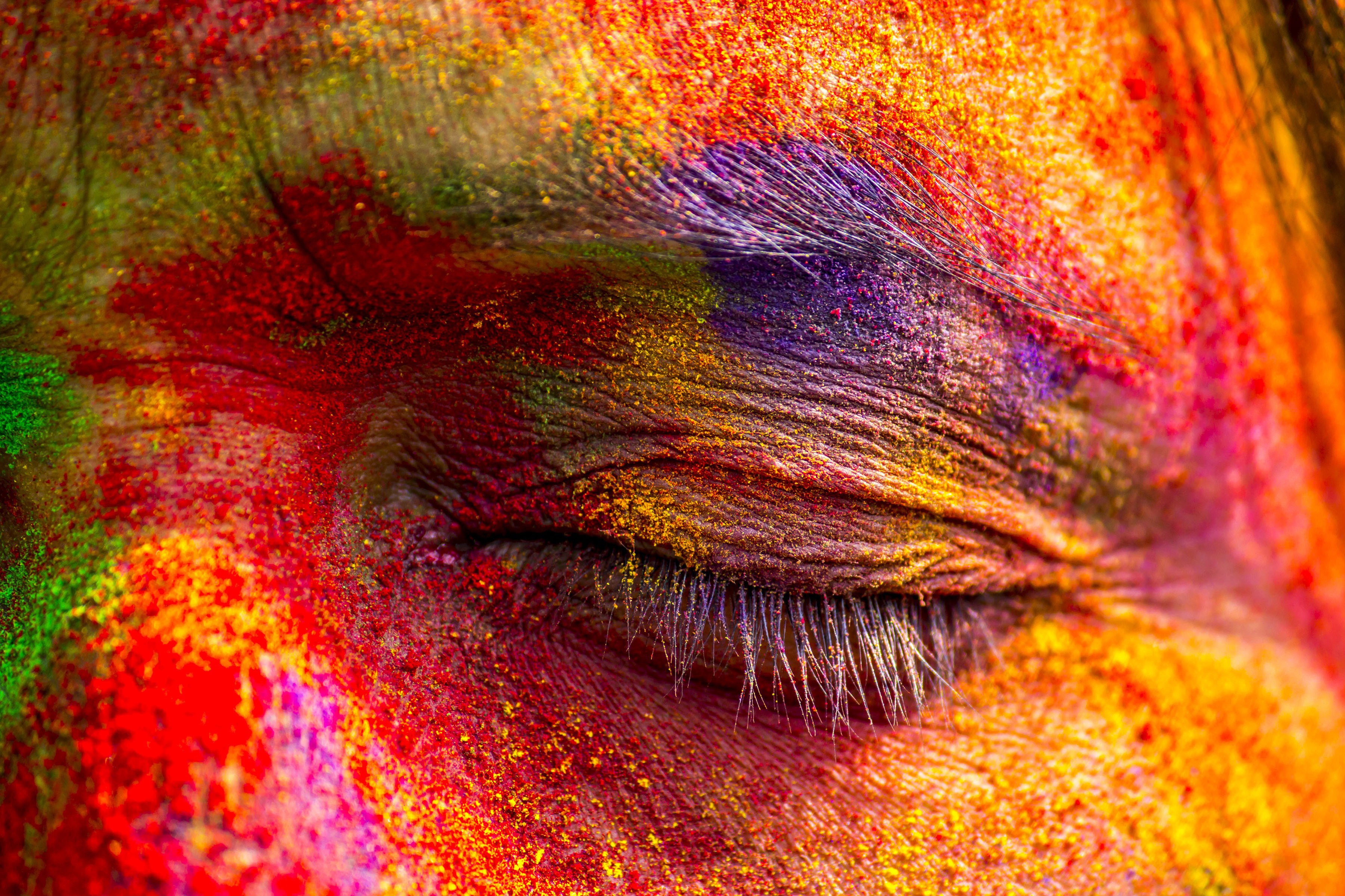 Holi India - HD Wallpaper 