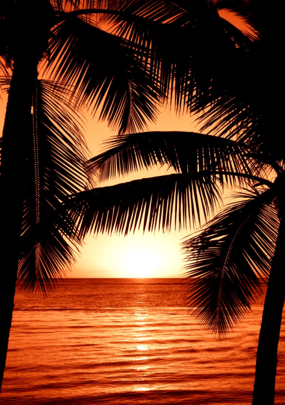 500 Wallpaper Pictures Download Free Hd Images On Unsplash Sunset Background For Editing 950x1350 Wallpaper Teahub Io