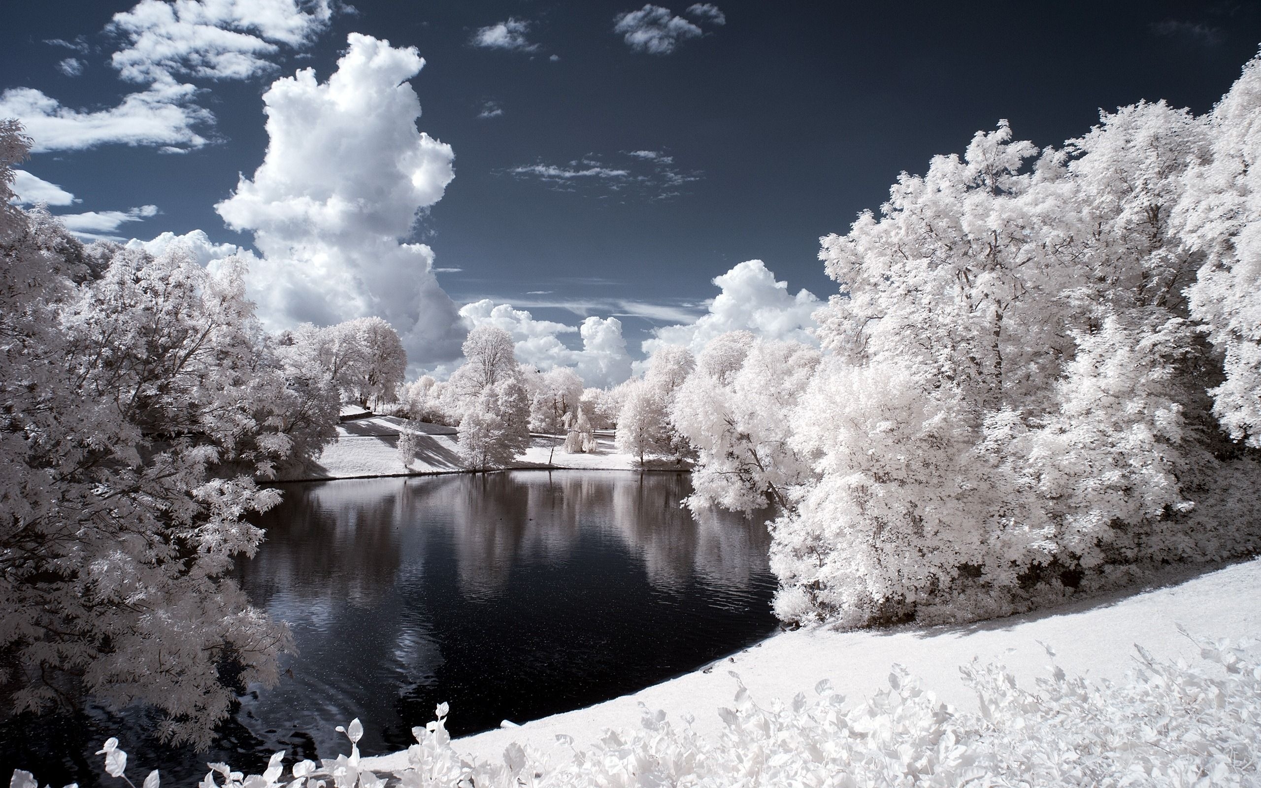 Best Wallpaper Ever - Hd Winter Background - HD Wallpaper 