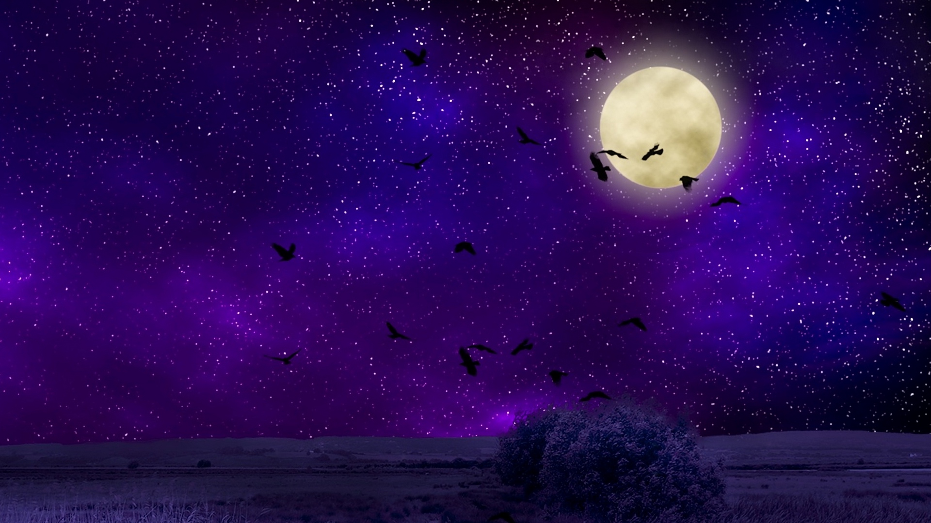 Moon Birds Night Sky Artistic Hd Wallpaper - Night Sky Wallpaper Moon - HD Wallpaper 