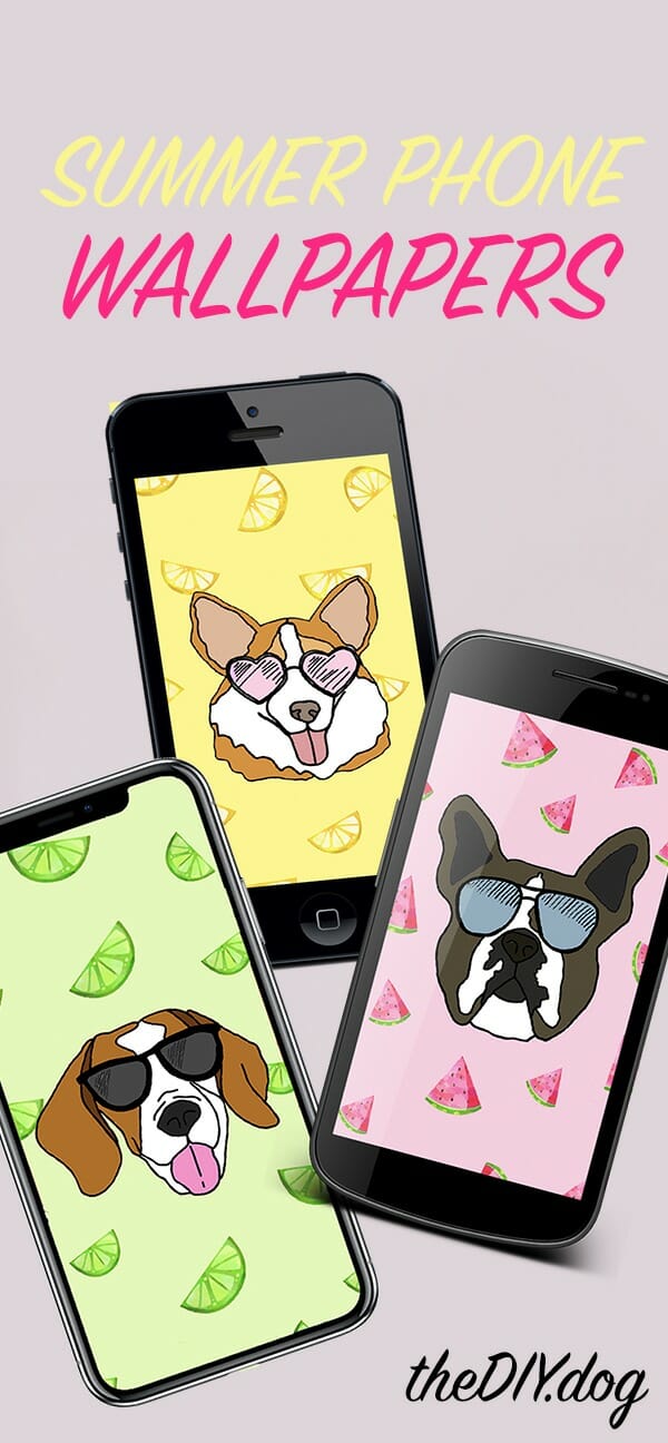 Cartoon - HD Wallpaper 