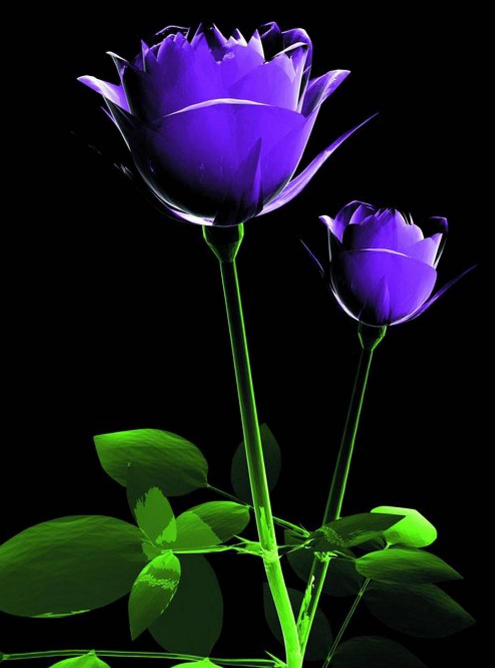 Hd Wallpapers For Mobile Group Data-src /full/8566 - New Wallpaper For Mobile Free Download - 1000x1348 Wallpaper Hd Wallpapers For Mobile Group Data-src /full/8566 - New Wallpaper For Mobile Free Download - 1000x1348 Wallpaper