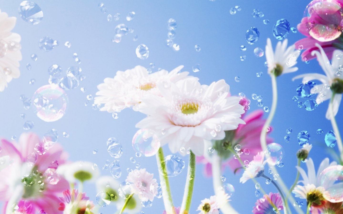Bright Beautiful Flowers Hd Wallpapers Widescreen Hd - Water Falling On  Flowers - 1440x900 Wallpaper 