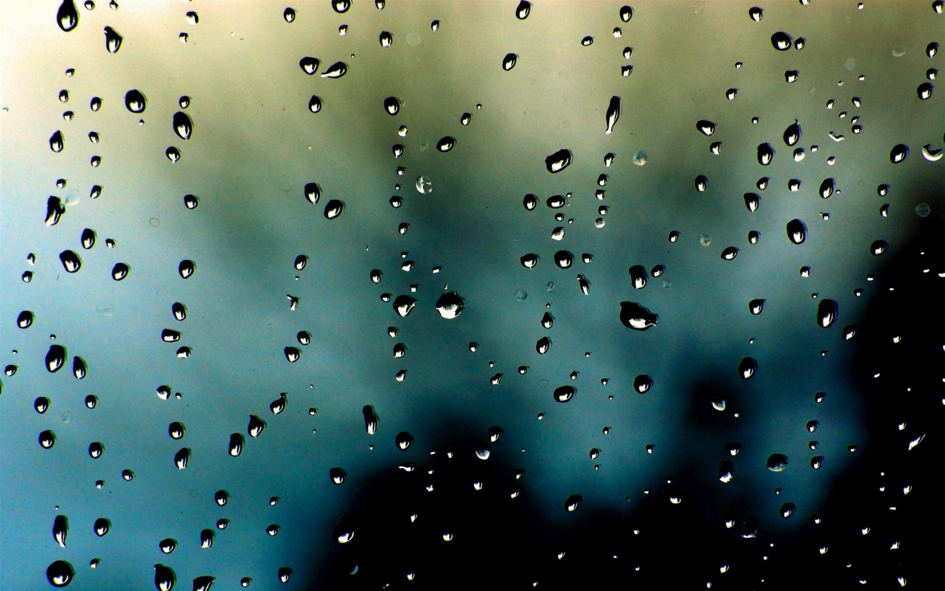 Nature Rain Condensation Rain Wallpaper - Hd Wallpaper Rain Drop - HD Wallpaper 