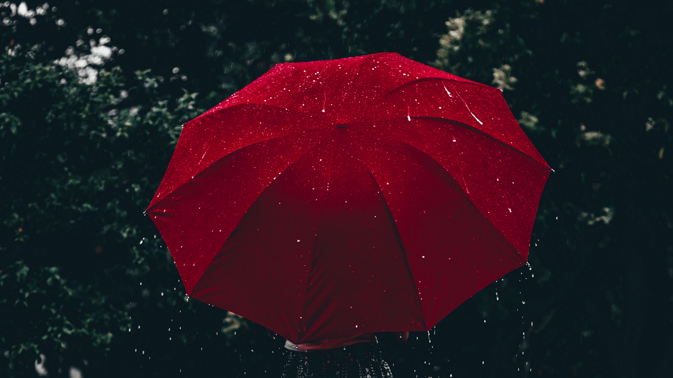 Wallpaper Umbrella, Red, Girl, Rain - Girl In Rain With Umbrella Hd - HD Wallpaper 
