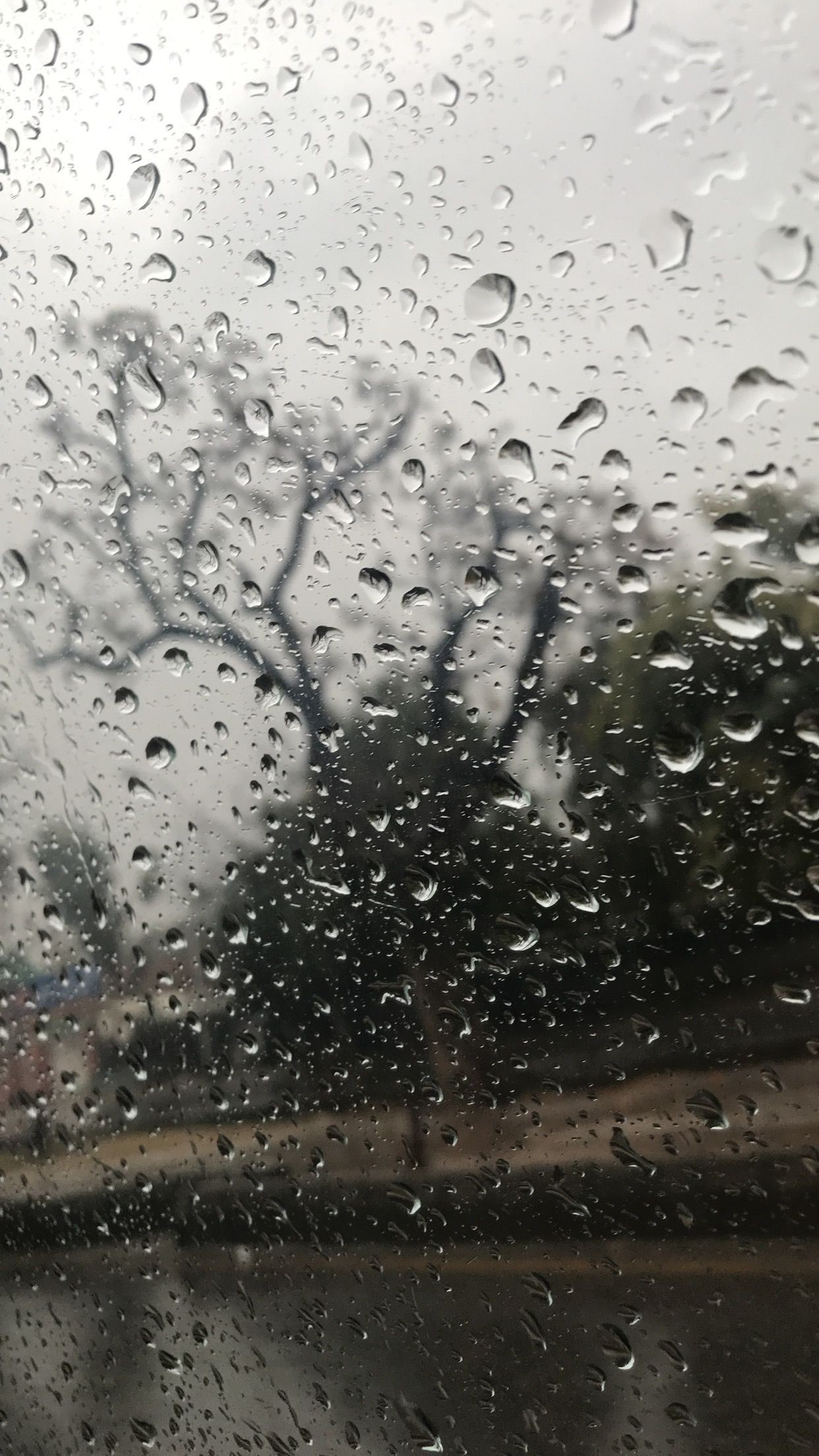 Rainy Wallpapers 
 Data-src /w/full/4/3/4/510710 - Latest Rain Wallpaper 2019 - HD Wallpaper 