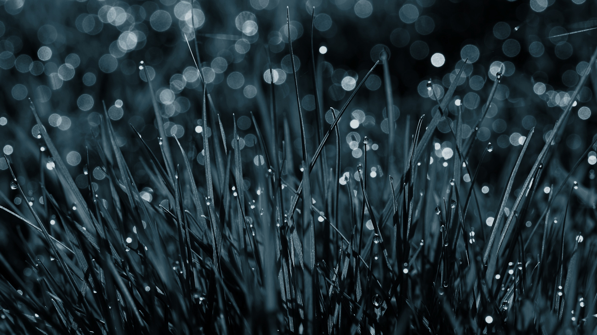 Awesome Rain Hd Wallpaper Free Download - HD Wallpaper 