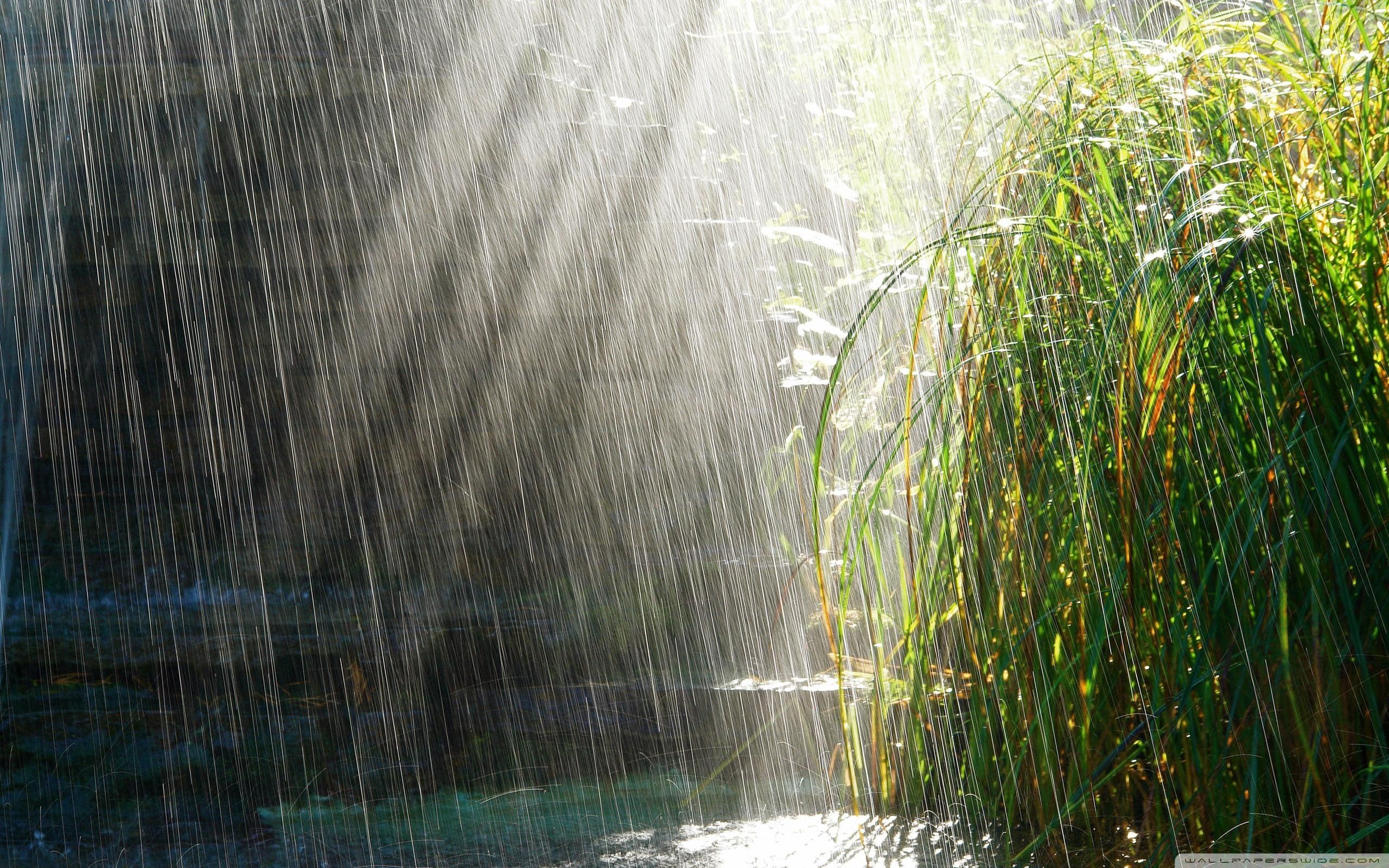 Summer Rain ❤ 4k Hd Desktop Wallpaper For 4k Ultra - Rainy Season Images Hd - HD Wallpaper 