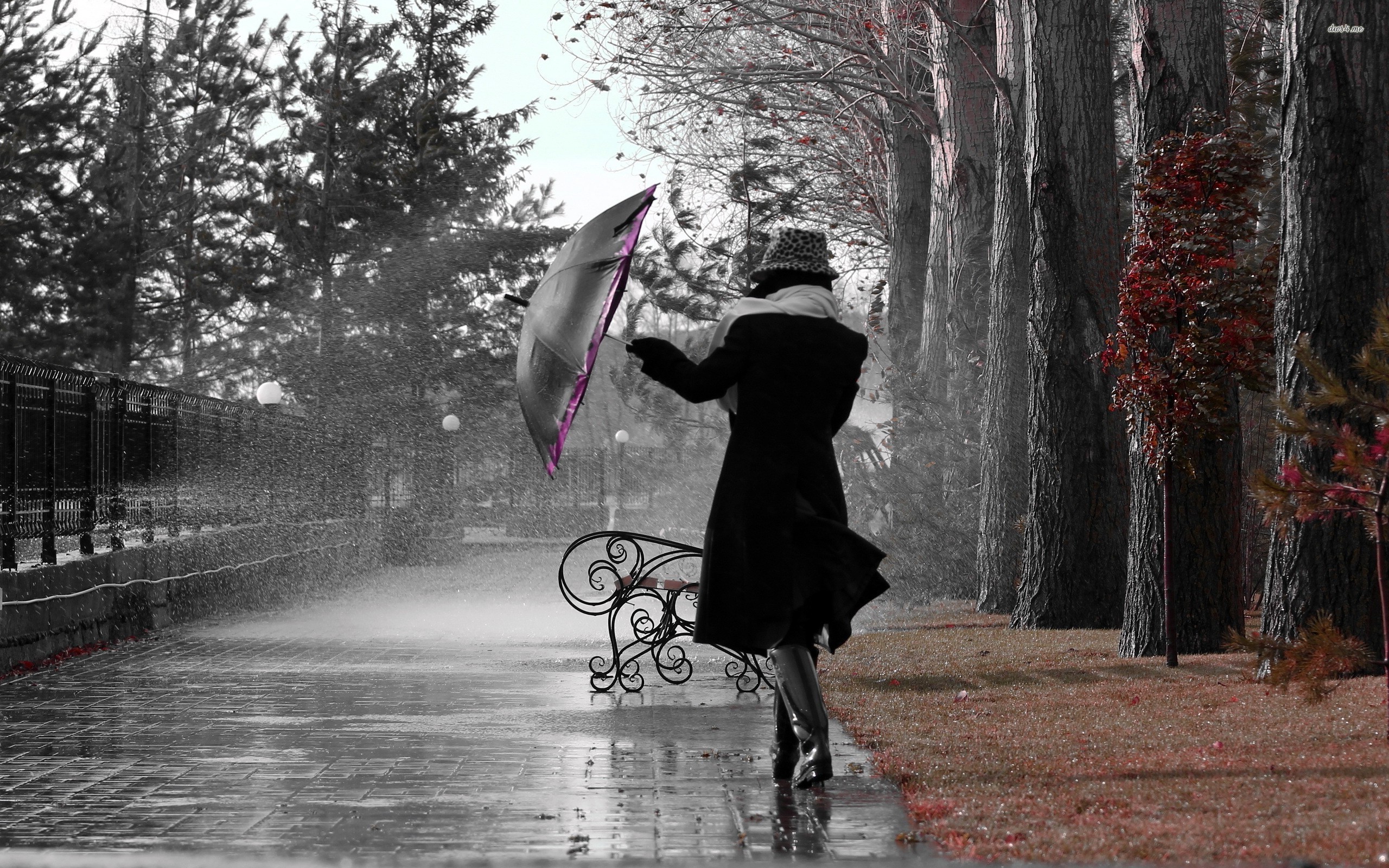 Girl On The Rain - HD Wallpaper 