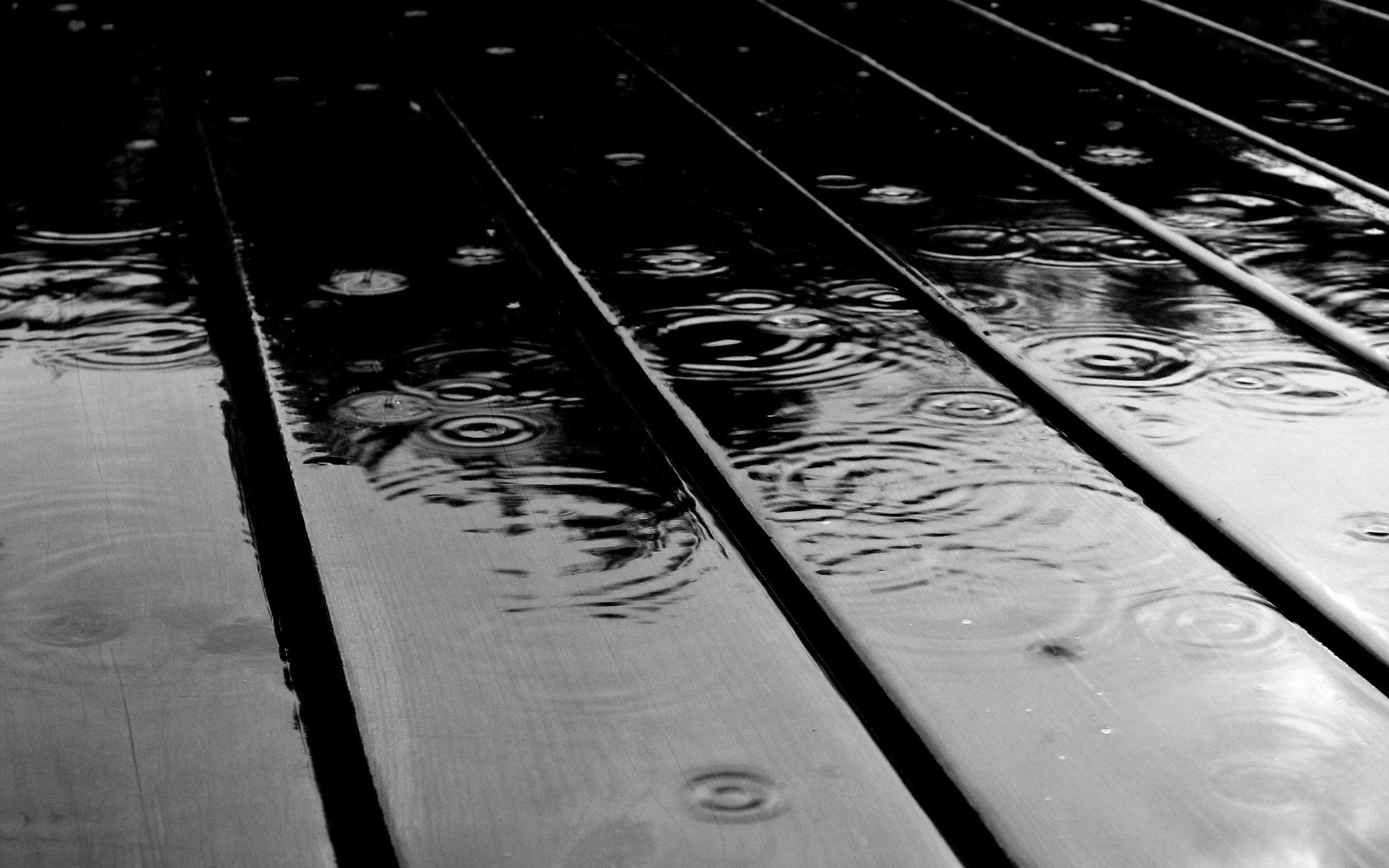 Spring Rain Wallpapers Wide On Wallpaper Hd 2560 X - Black And White Backgrounds - HD Wallpaper 