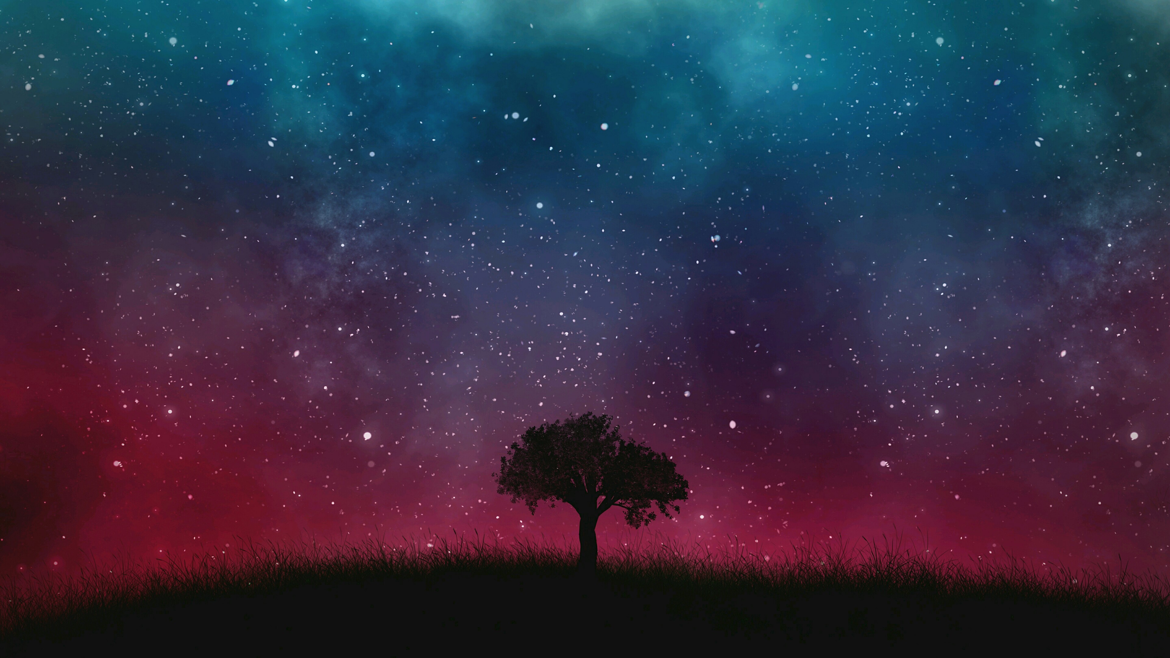 3840x2160, Lone Tree Under The Starry Sky - Wallpaper - HD Wallpaper 