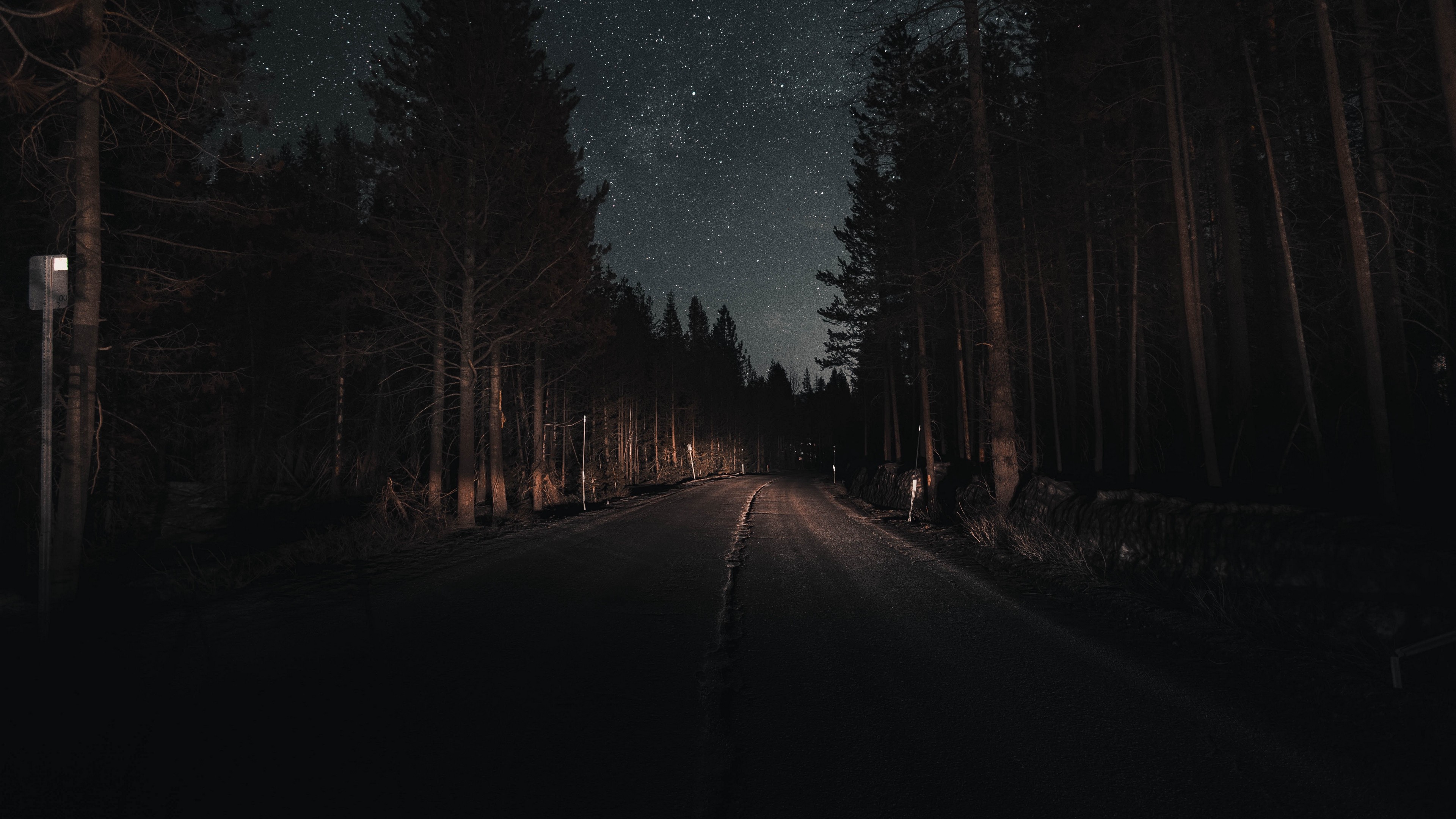 Night Wallpaper Forest - HD Wallpaper 