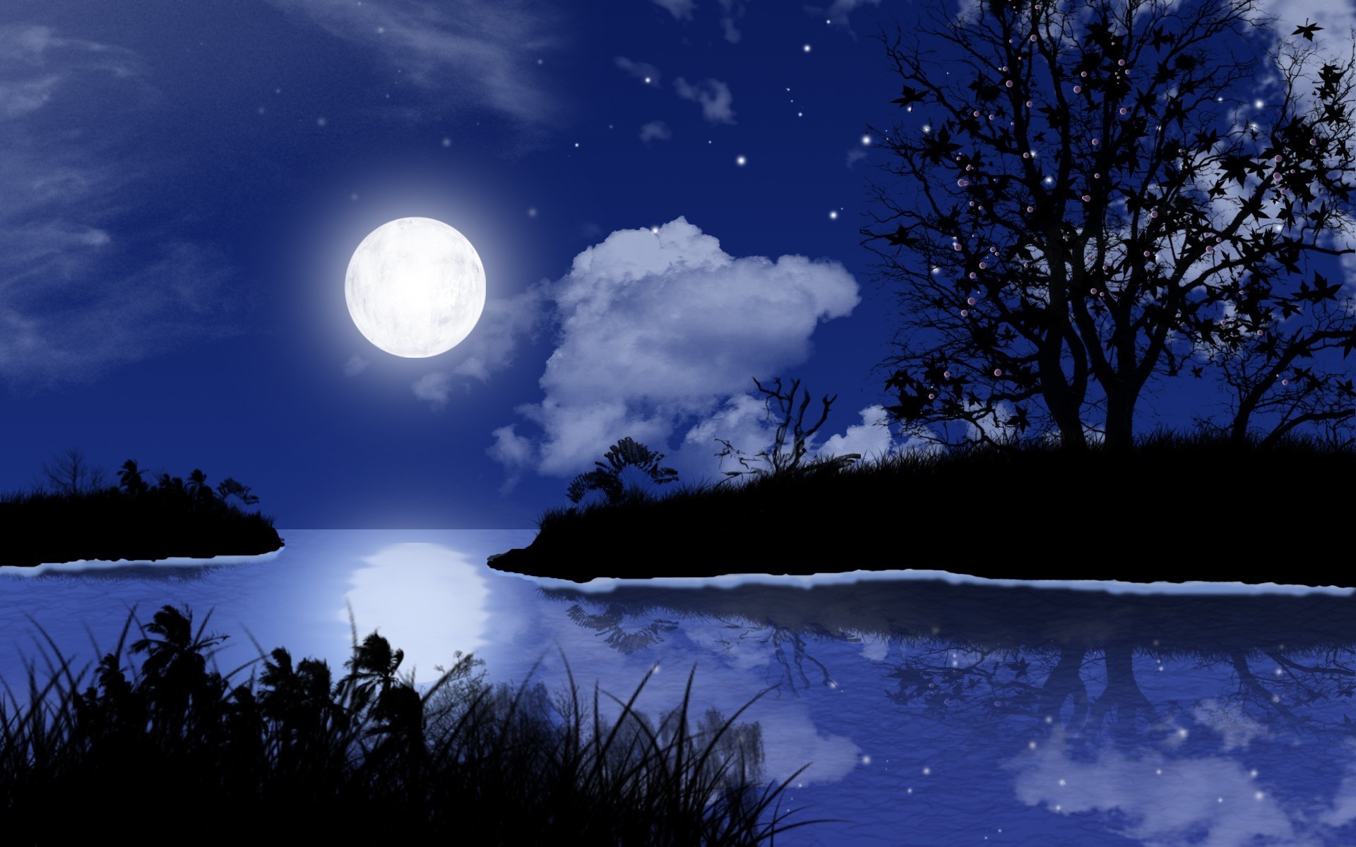 Full Moon Night Wallpaper - Best Good Night Wishes - HD Wallpaper 