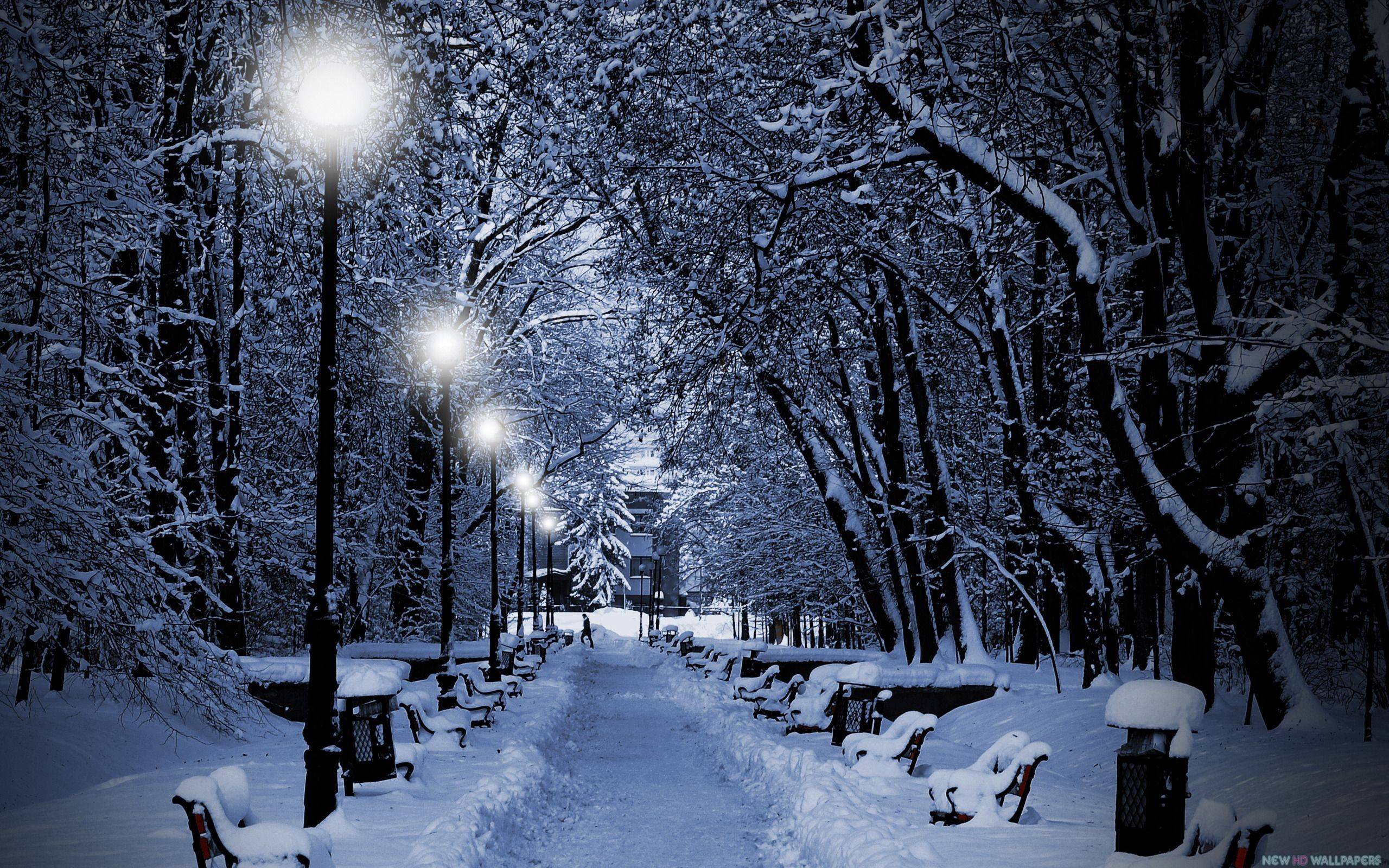 Winter Night Wallpapers 
 Data-src /full/294899 - Snow Desktop Backgrounds - HD Wallpaper 