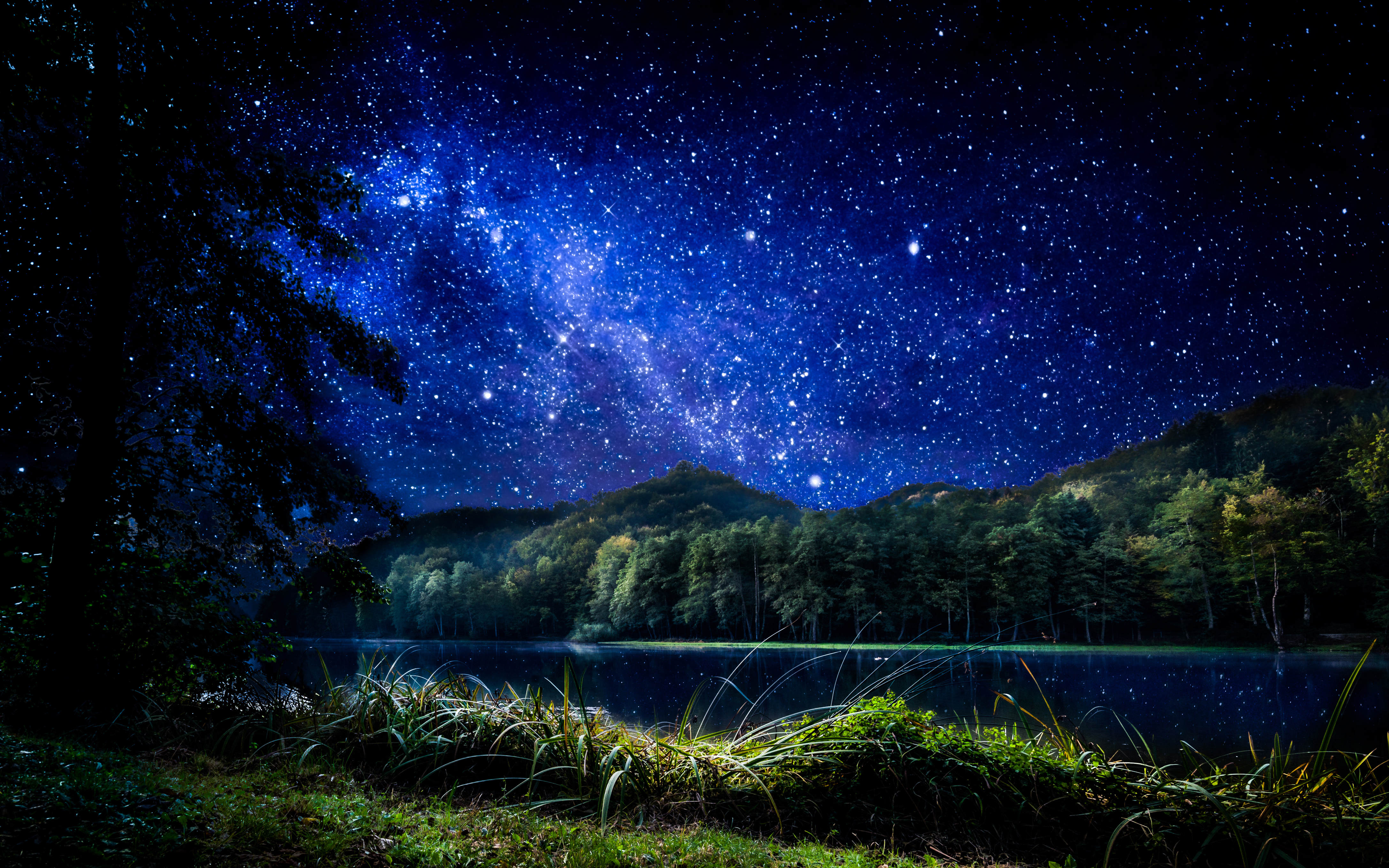 Night Nature Wallpaper 4k - HD Wallpaper 