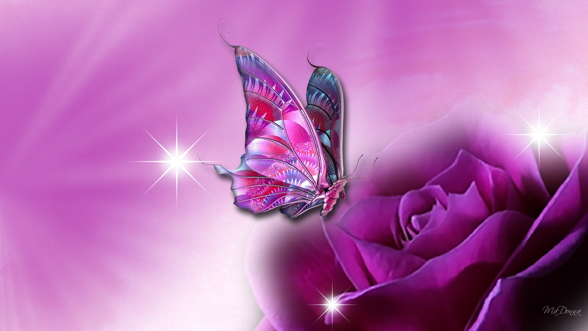 Butterfly For Desktop Unique Nature Wallpaper - Beautiful Wallpapers Of Butterflies - HD Wallpaper 