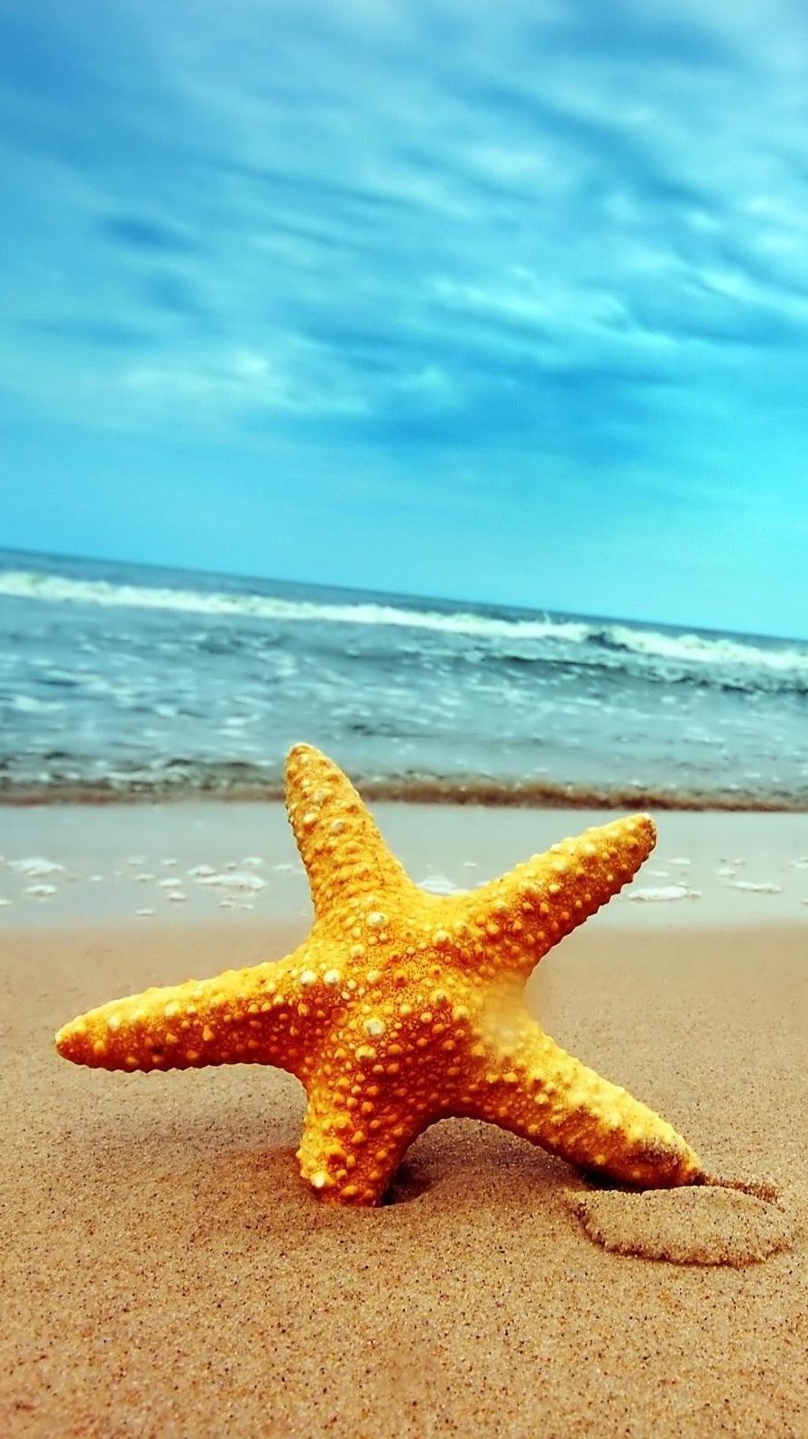 Live Wallpaper For Phone Beach - HD Wallpaper 
