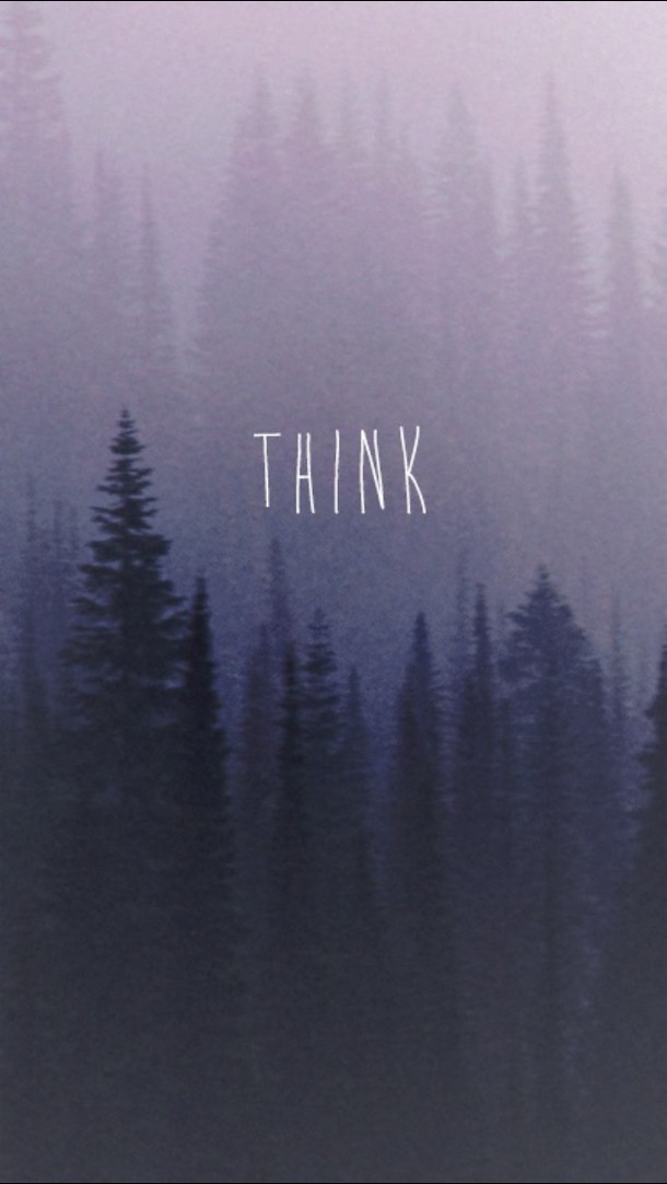 Shortleaf Black Spruce - HD Wallpaper 